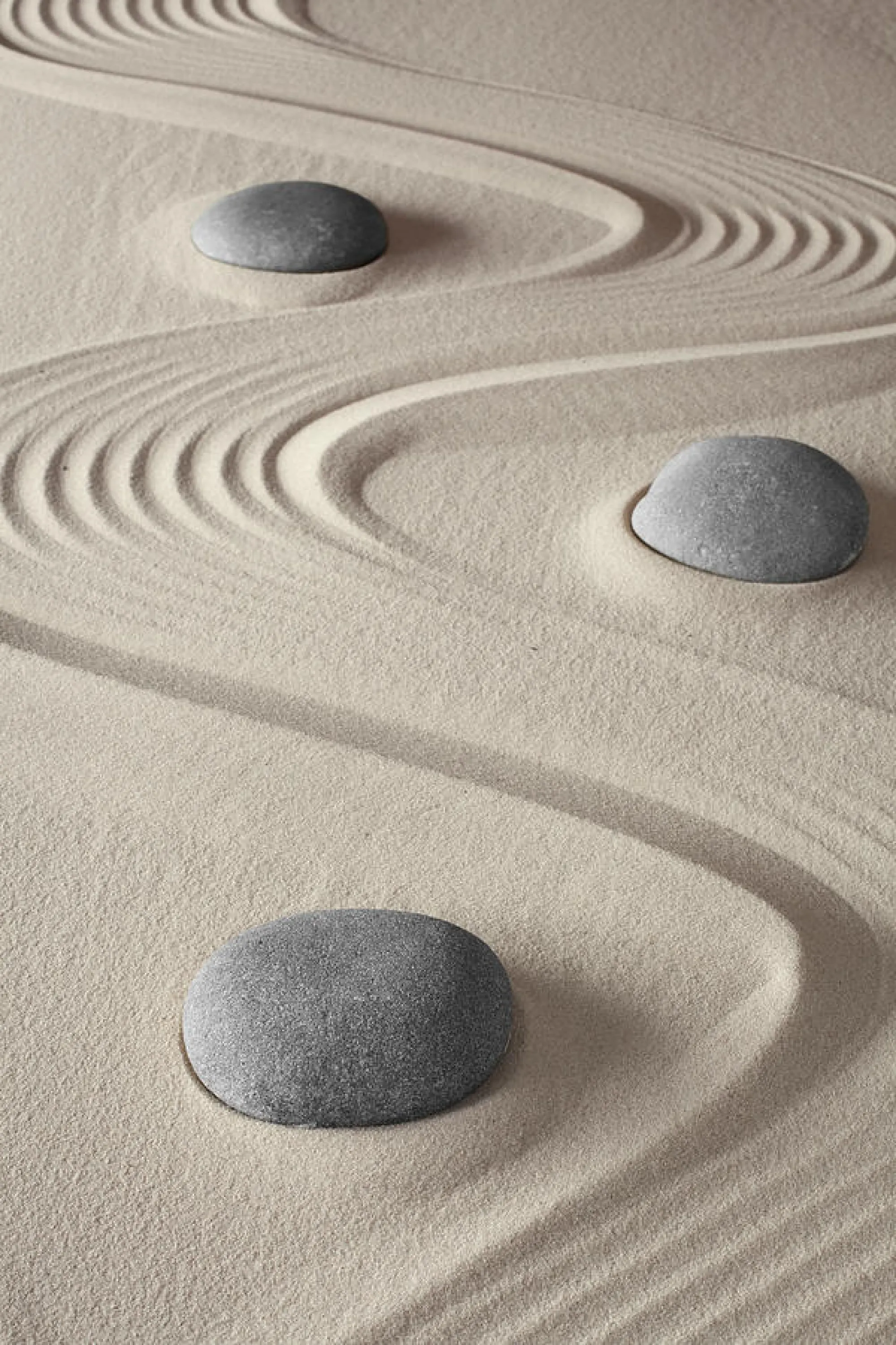 Zen garden close-up.