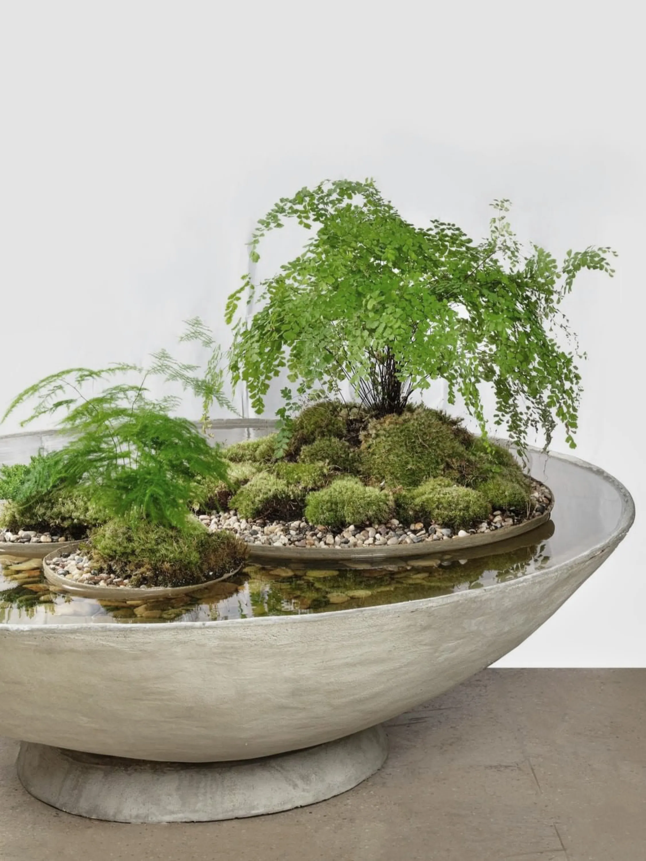 Big vase with plants and water.