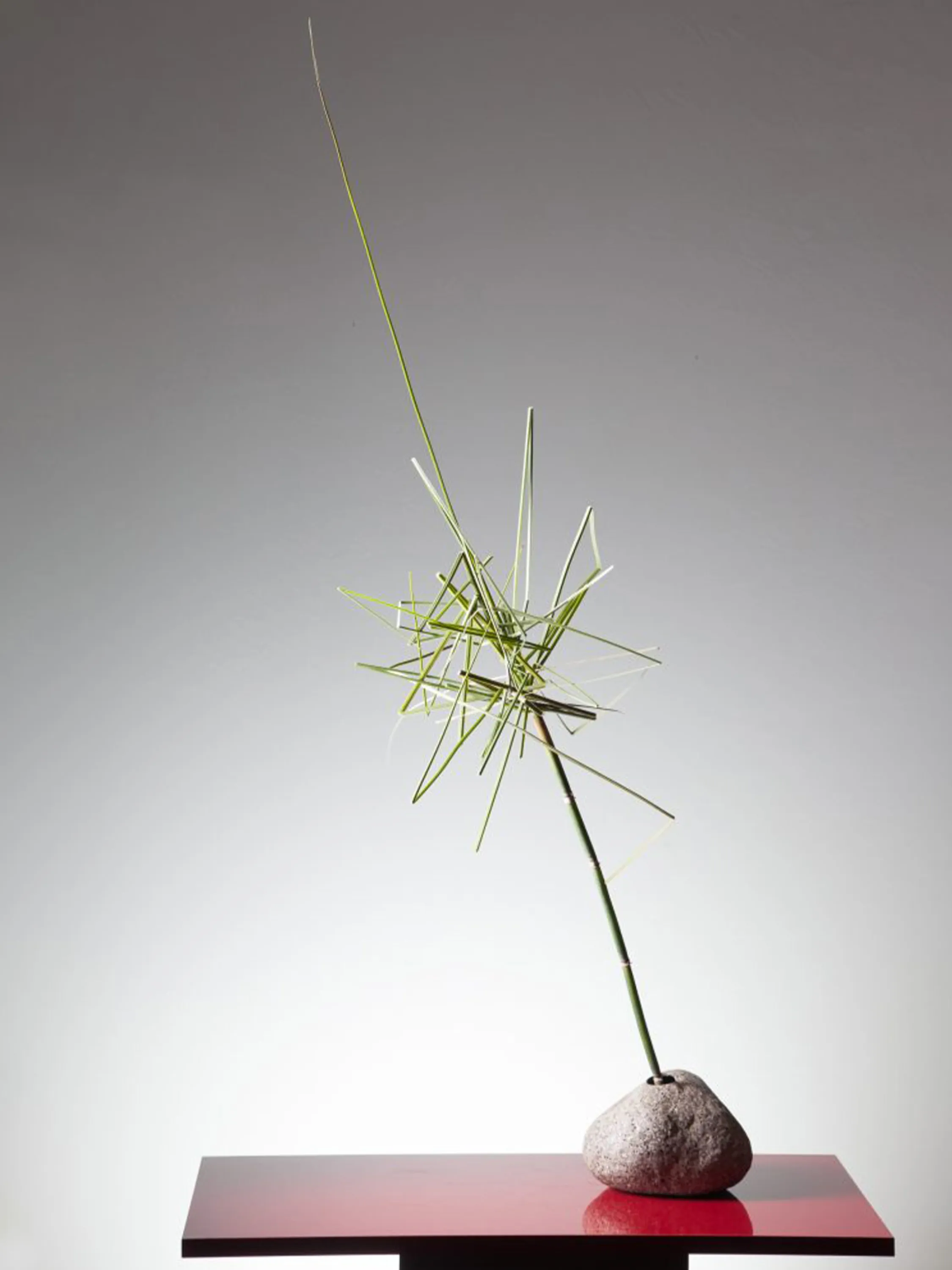 Minimal Ikebana arrangement with bent stems.