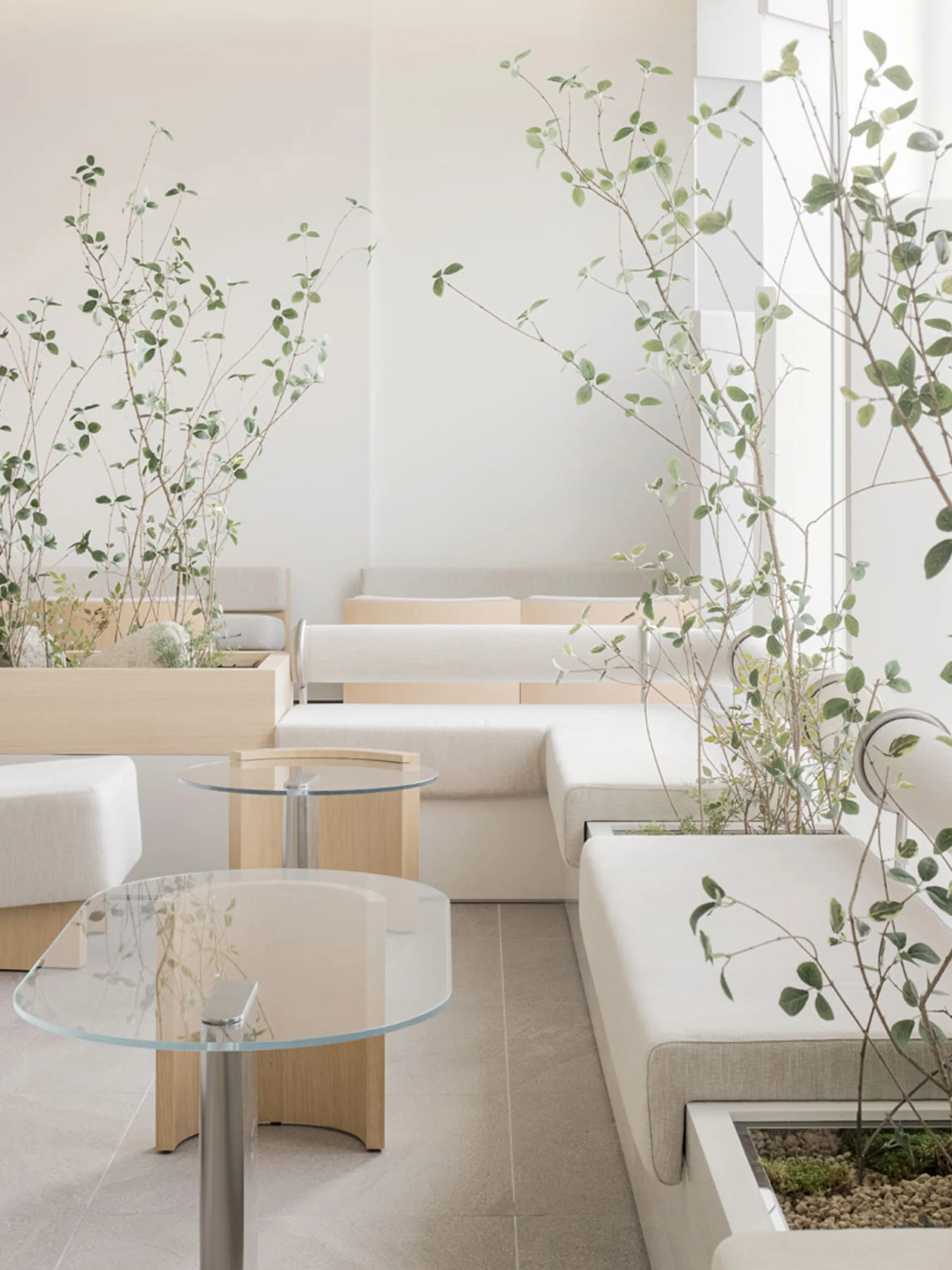 Plain walls enriched with plants.