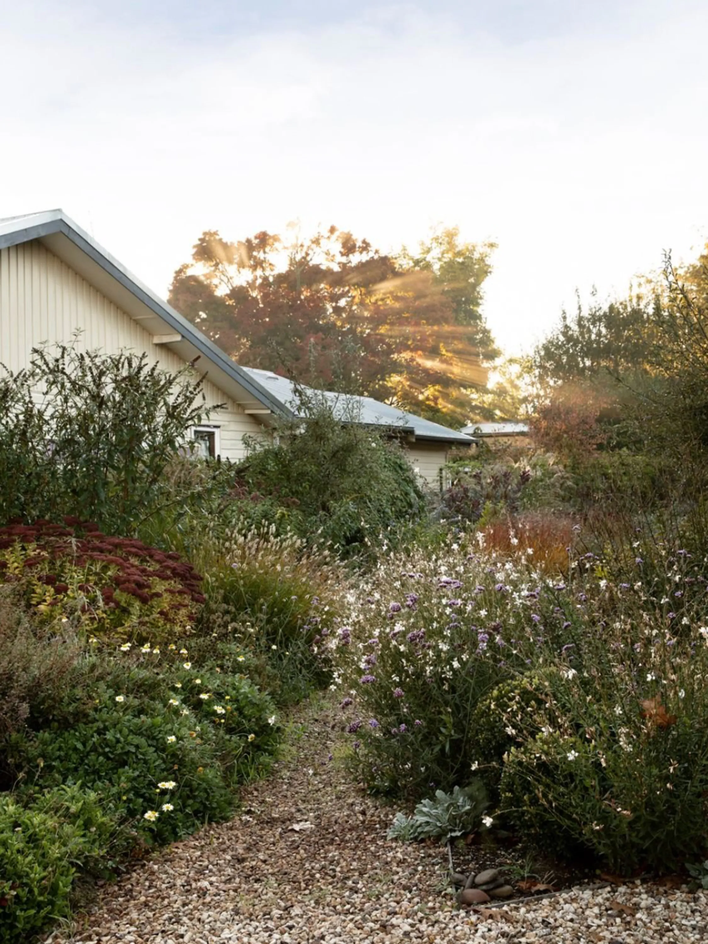 Lush garden with a rich diversity of plant species.