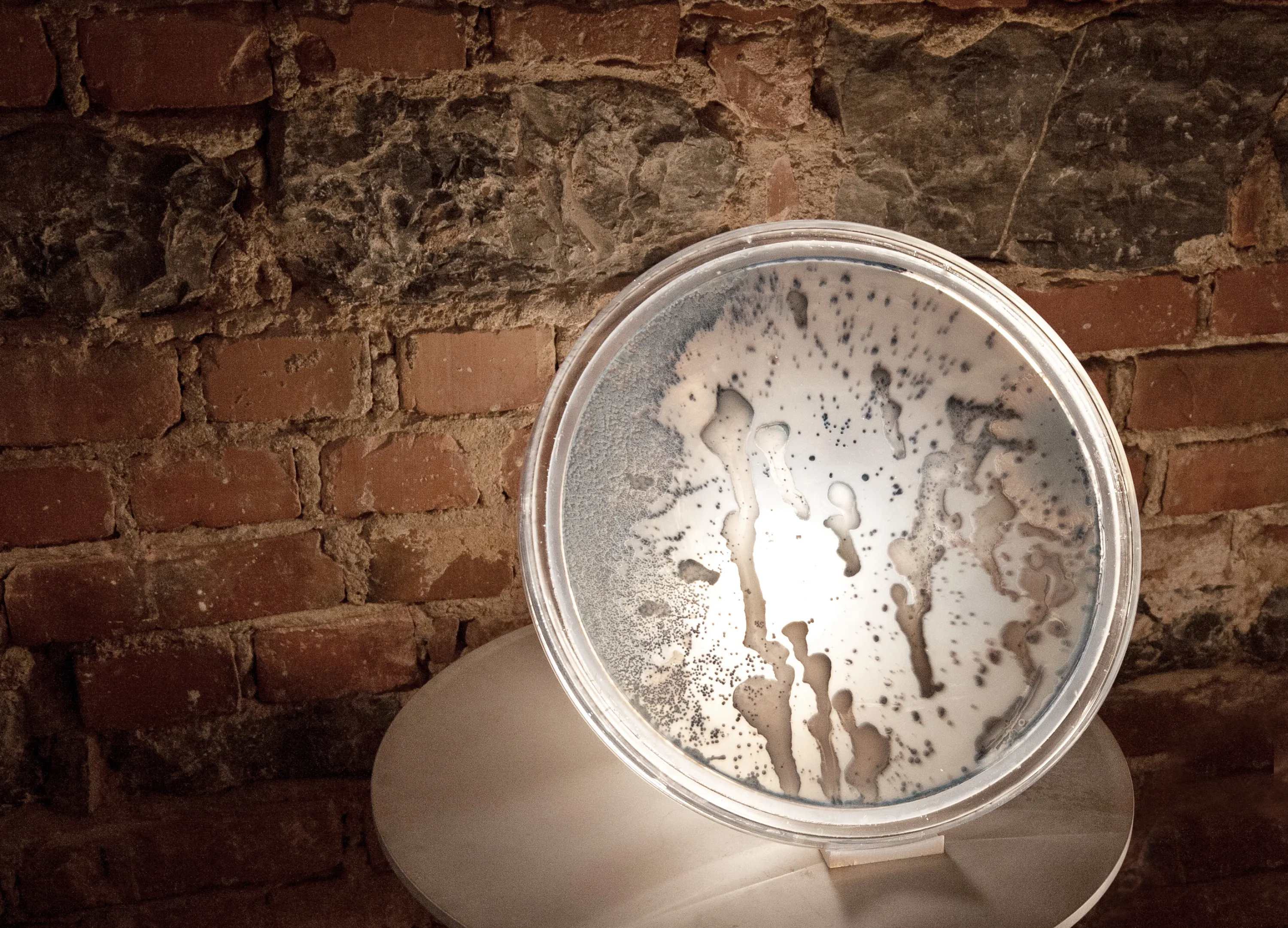Bacteria lamp detail against a brick wall.