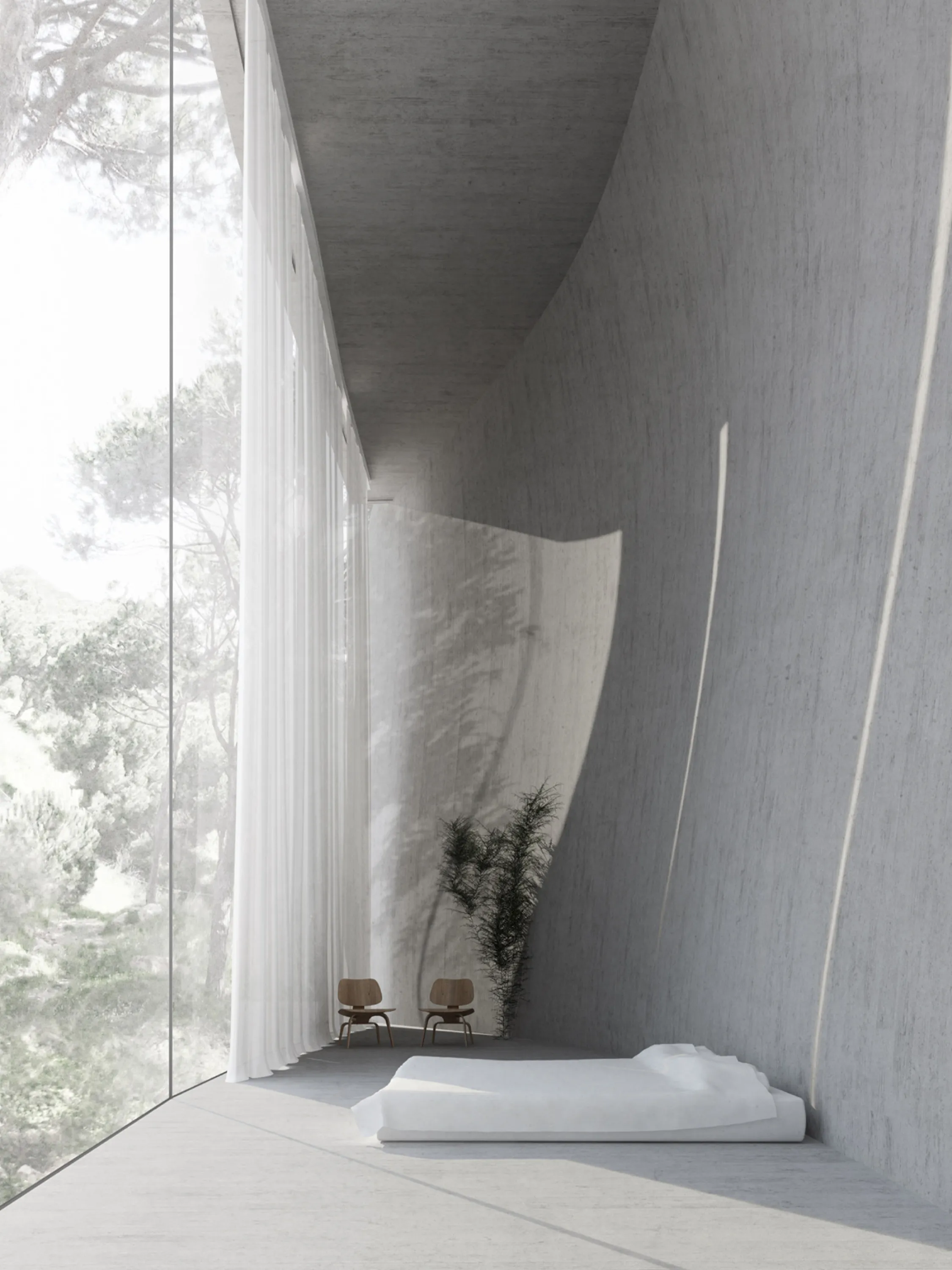 Full-height window looking into the forest.