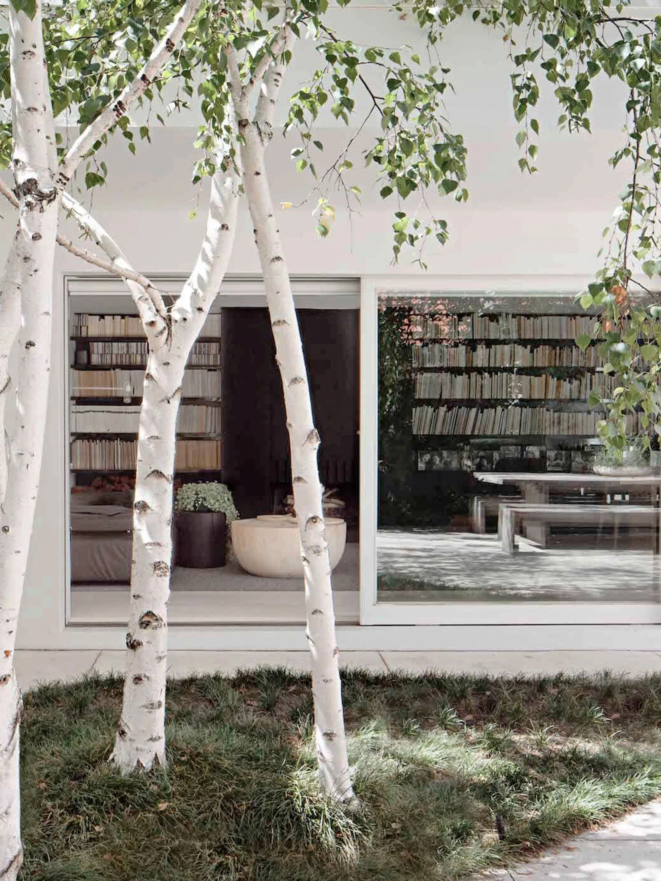 An indoor-outdoor living space with big trees outdoors.