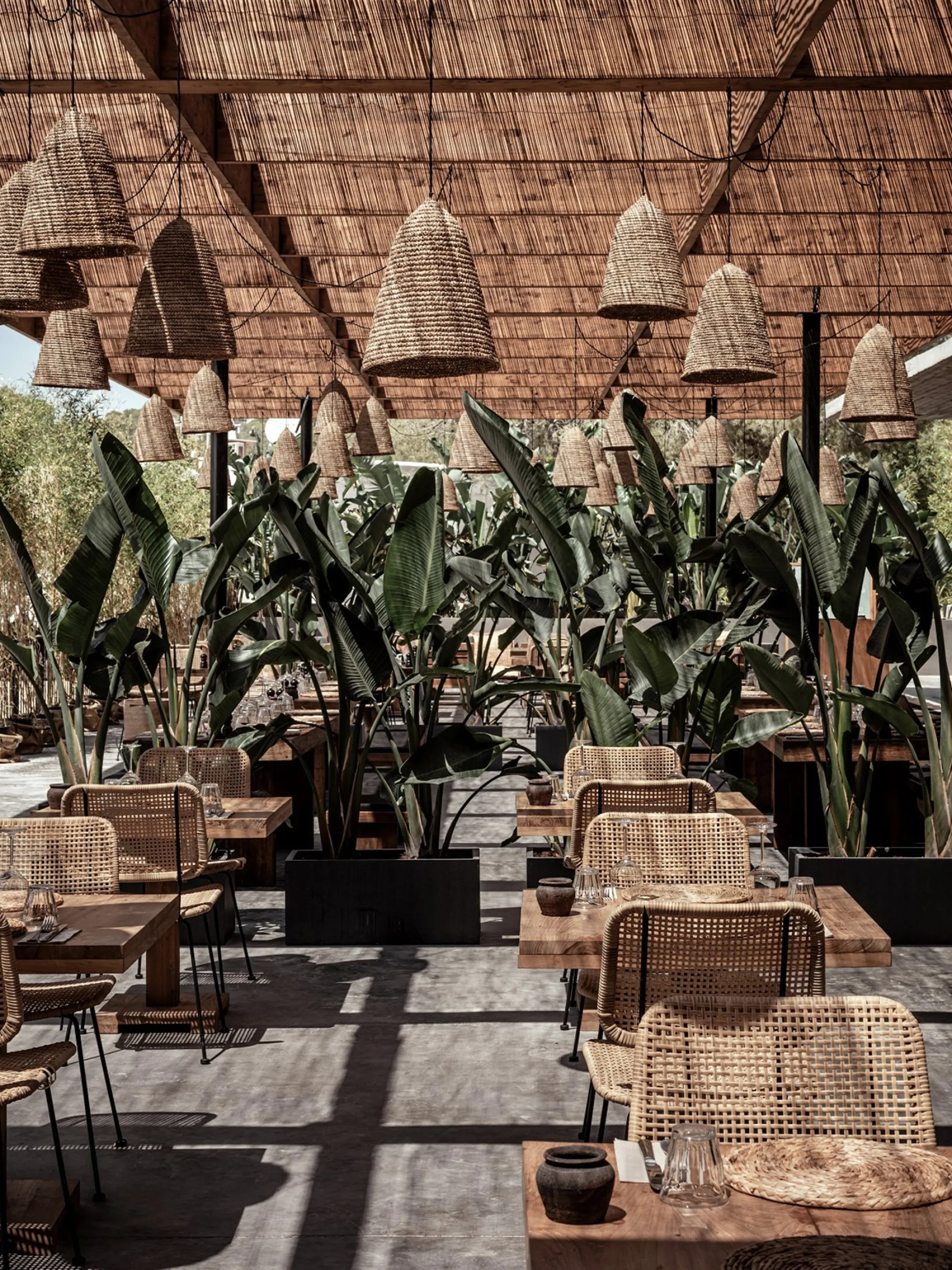 Outdoor restaurant with tall plants used as dividers.