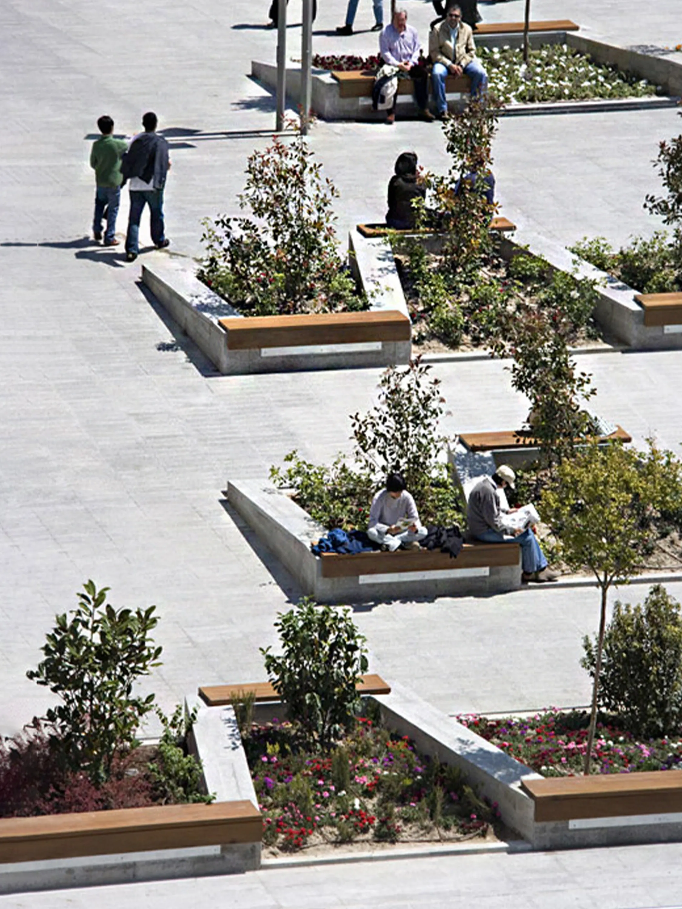 Public space with planters defining distanced seating.