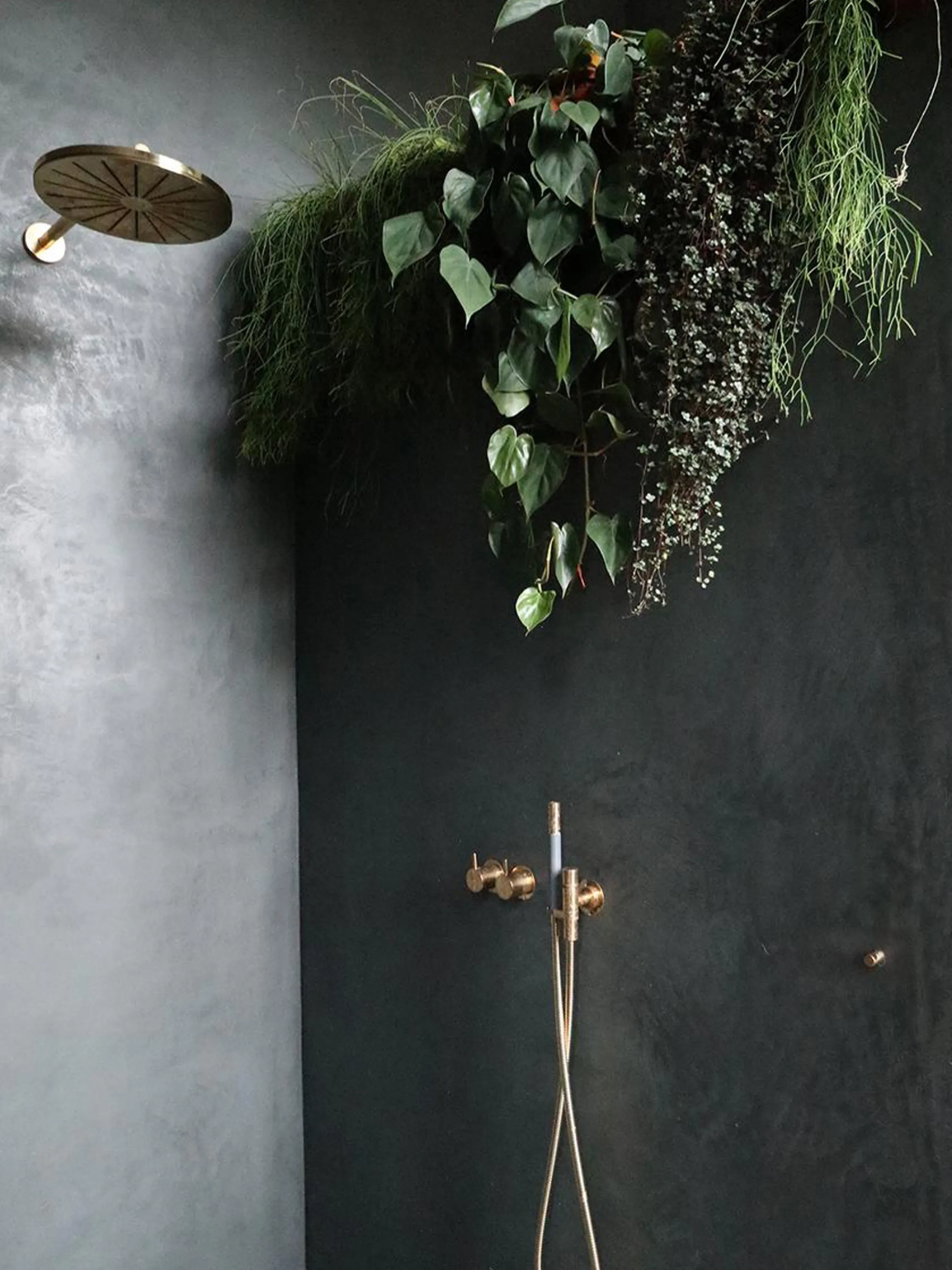 Draping plants add texture to a smooth wall.