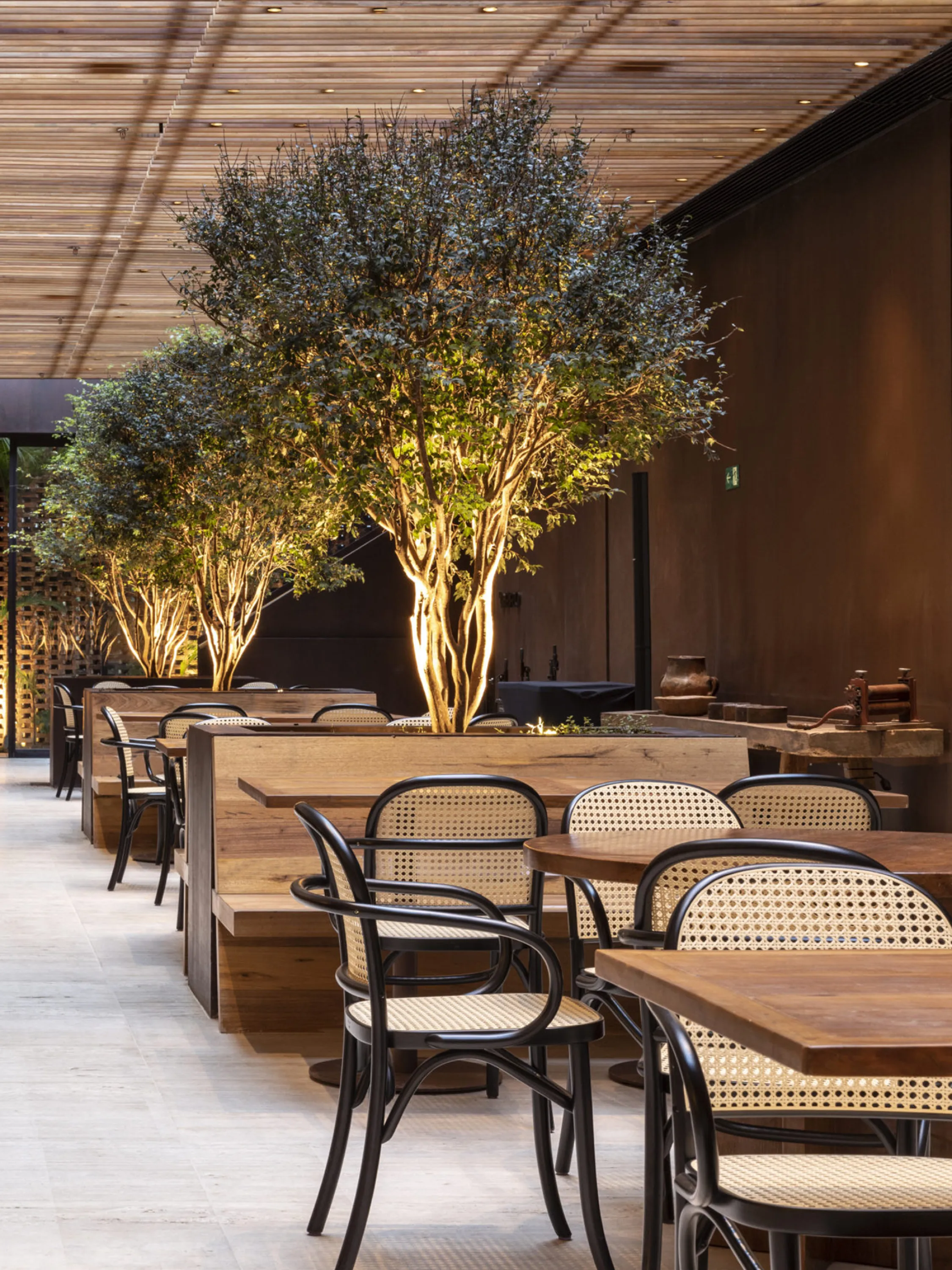 Tall trees adding interest in a restaurant.