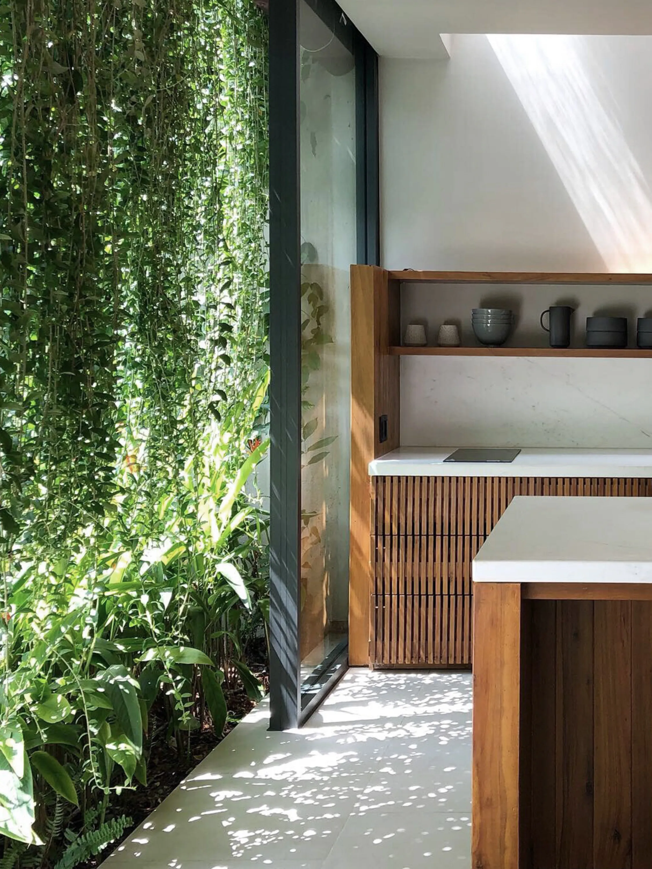 Kitchen shaded by outdoor draping plants.