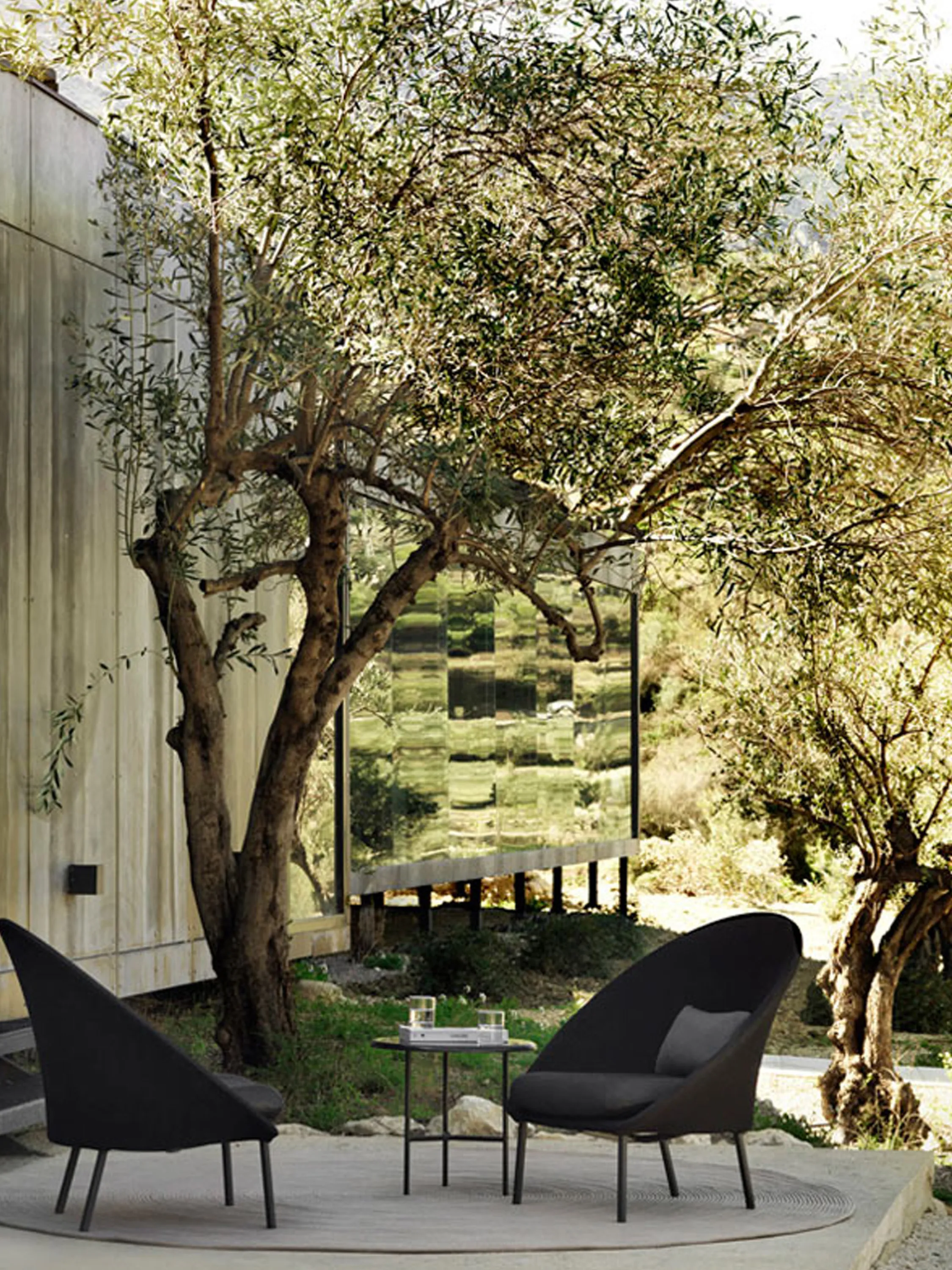 Outdoor lounge shaded by tall trees.