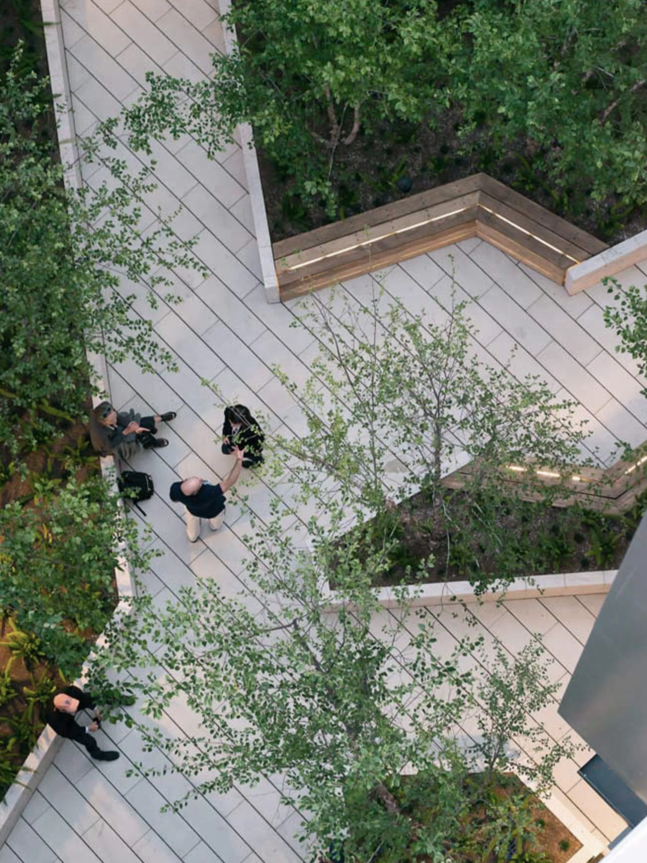 Biophilic city park area creating conversation areas.