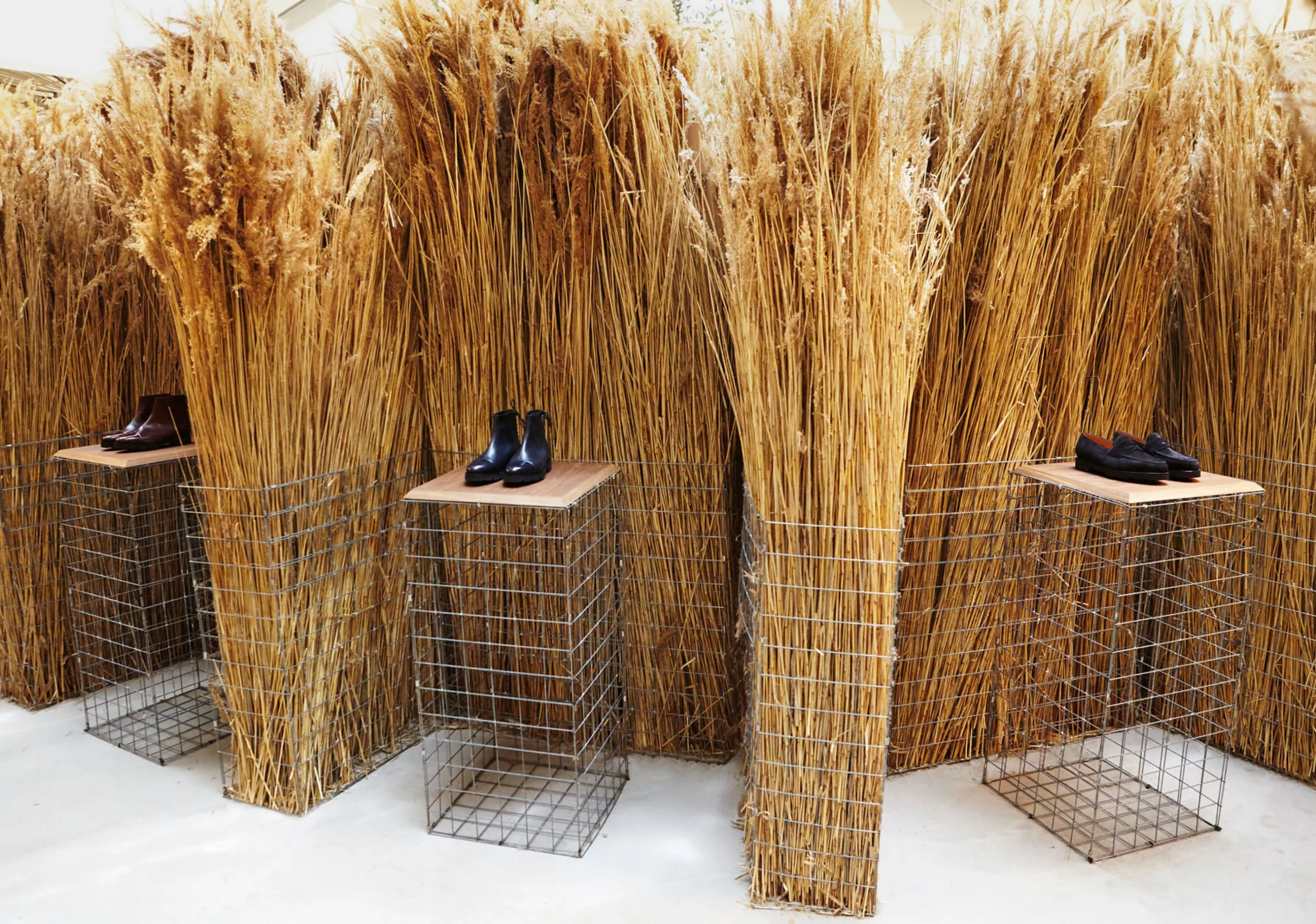 Pampa grass partition in a retail space.