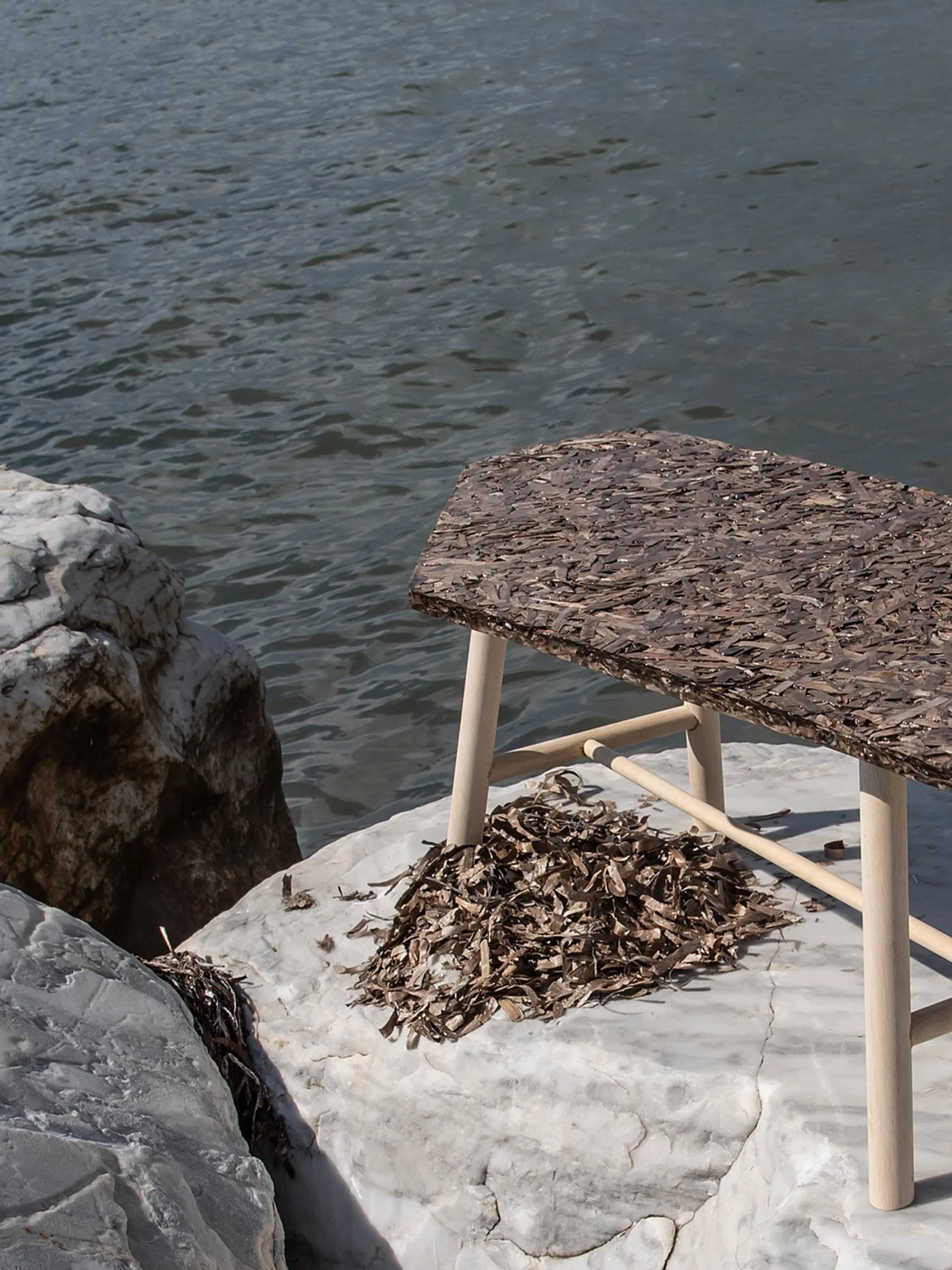Low table made of algae and wood.