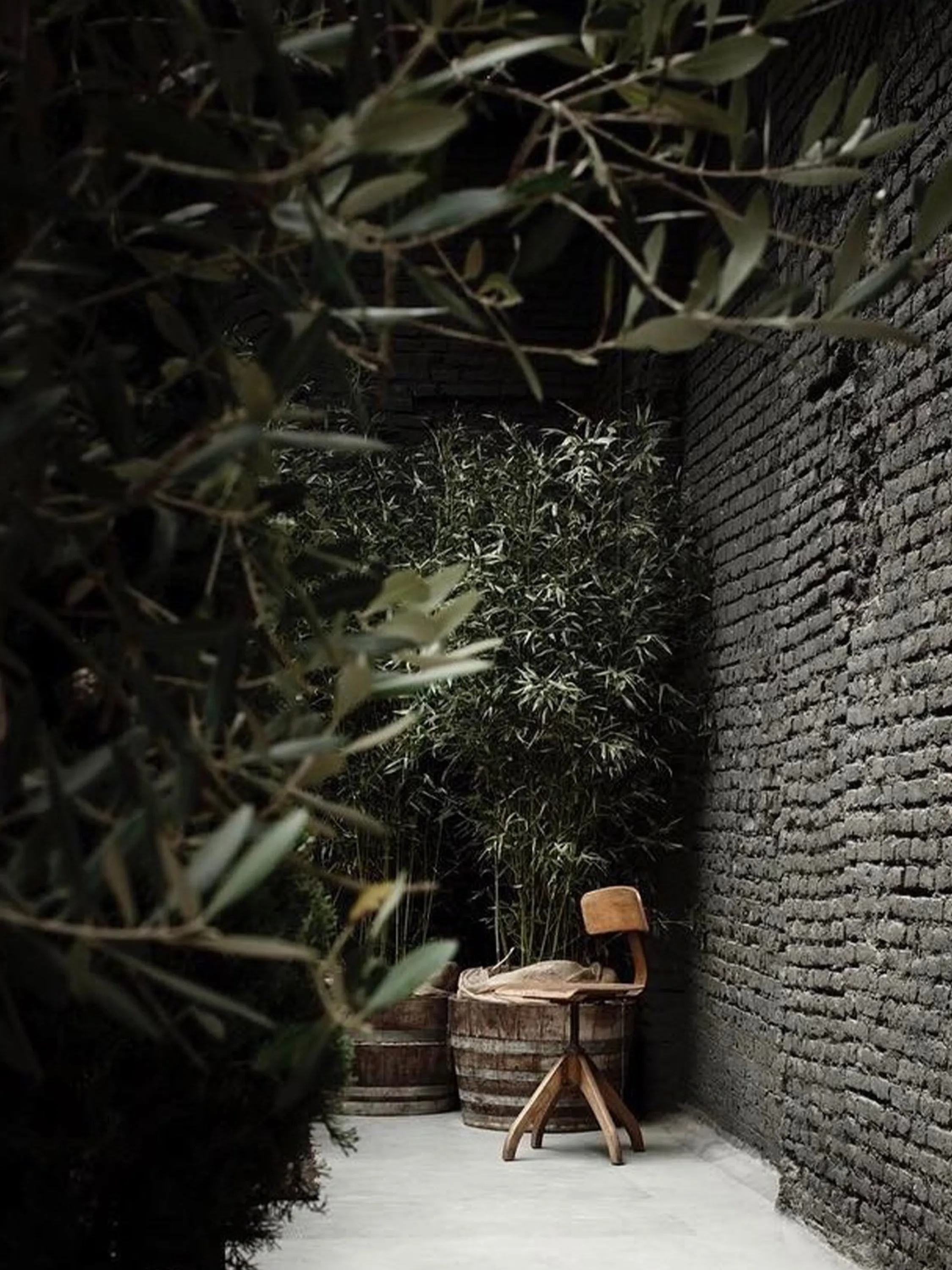 A chair vignette mysteriously peeking through greenery.