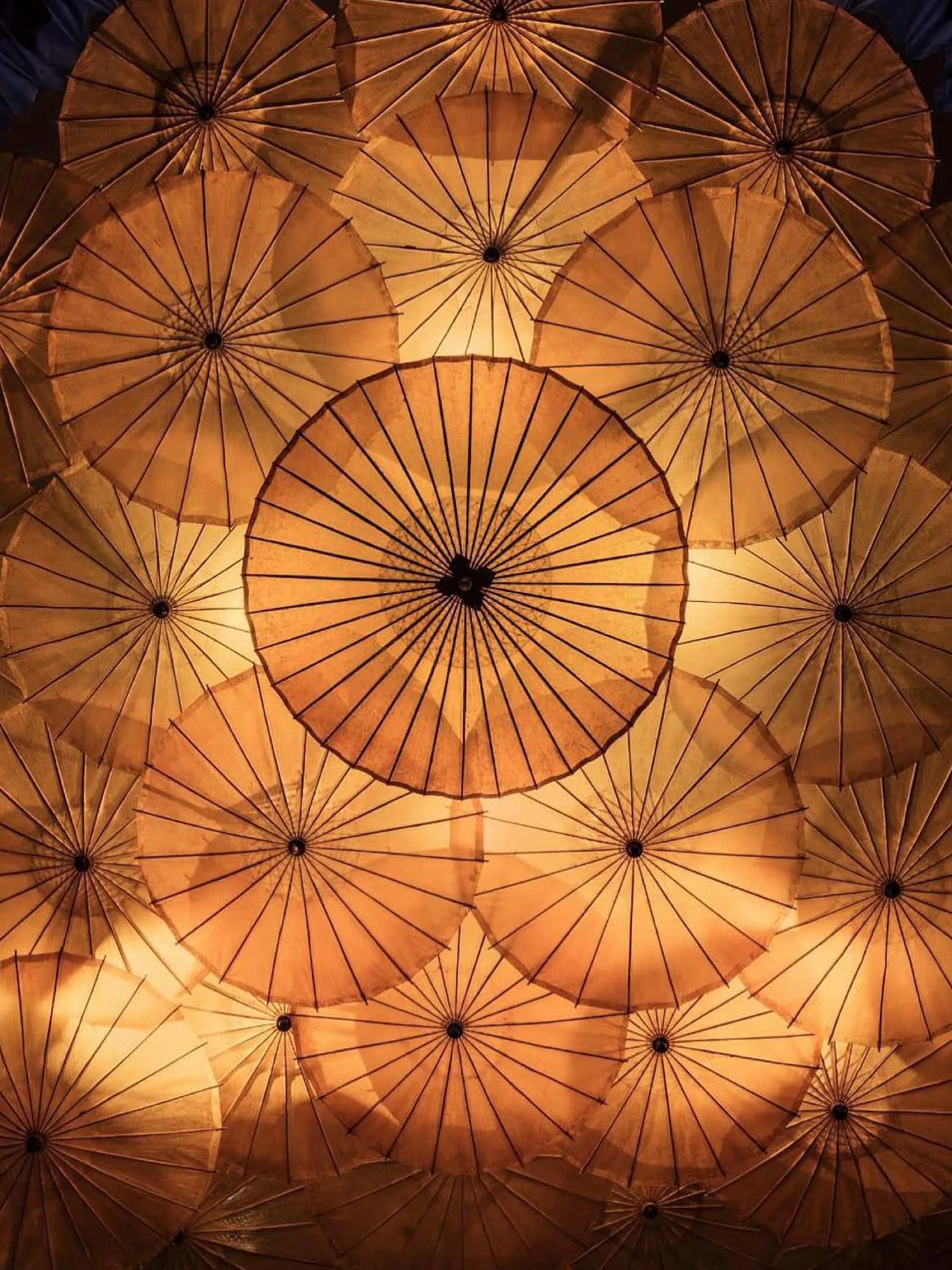 Close-up view of paper umbrellas hanging from the ceiling.