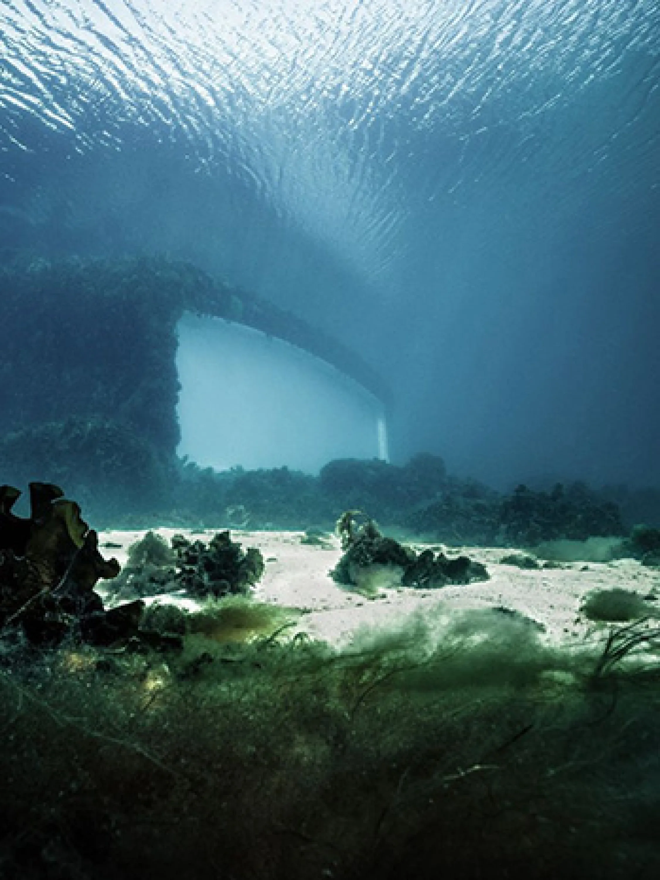 Underwater view of the building covered in marine life.