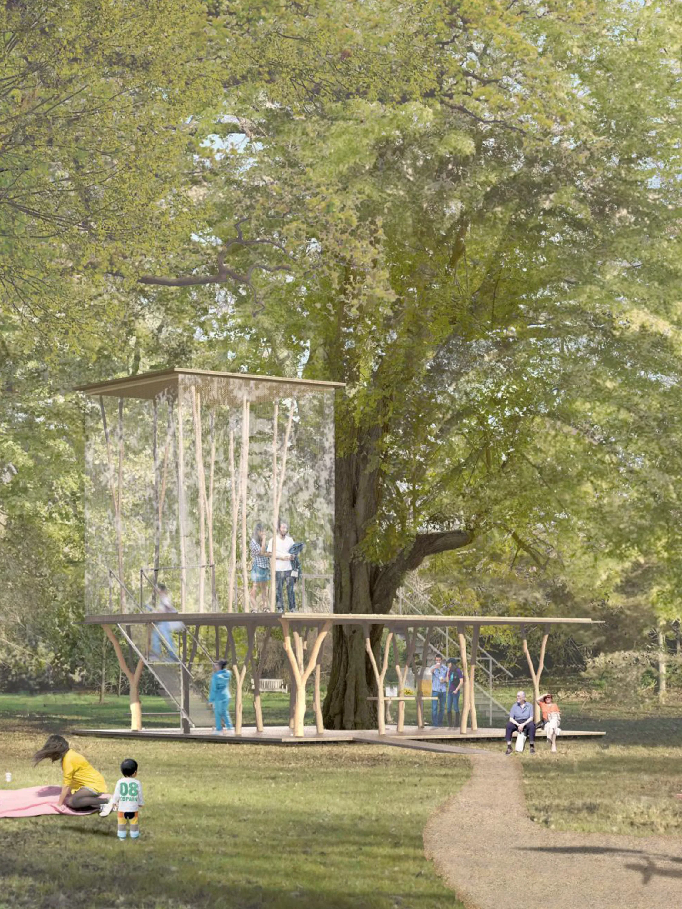 Treehouse with glass structure.