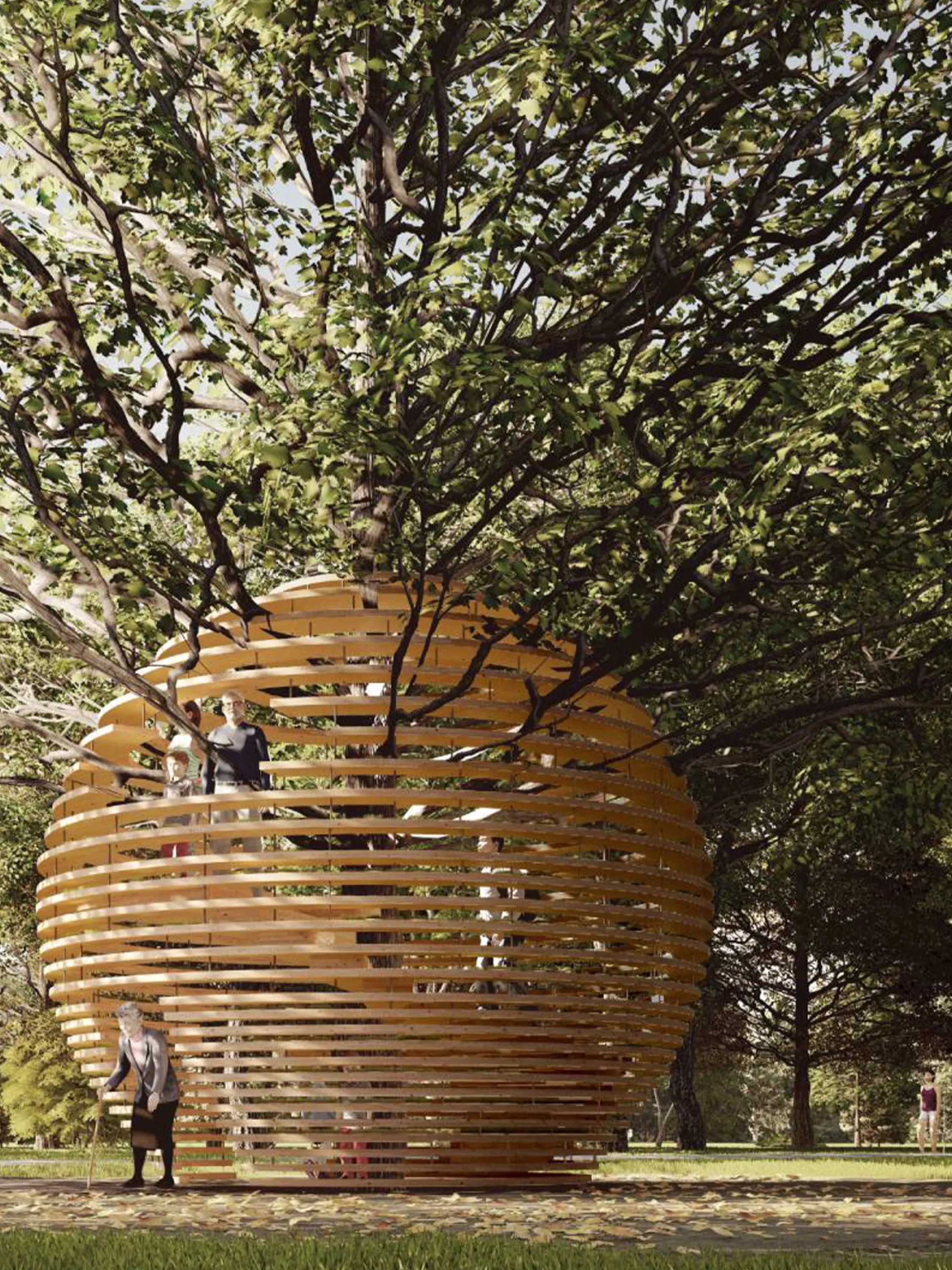 Spherical treehouse embracing the tree trunk.