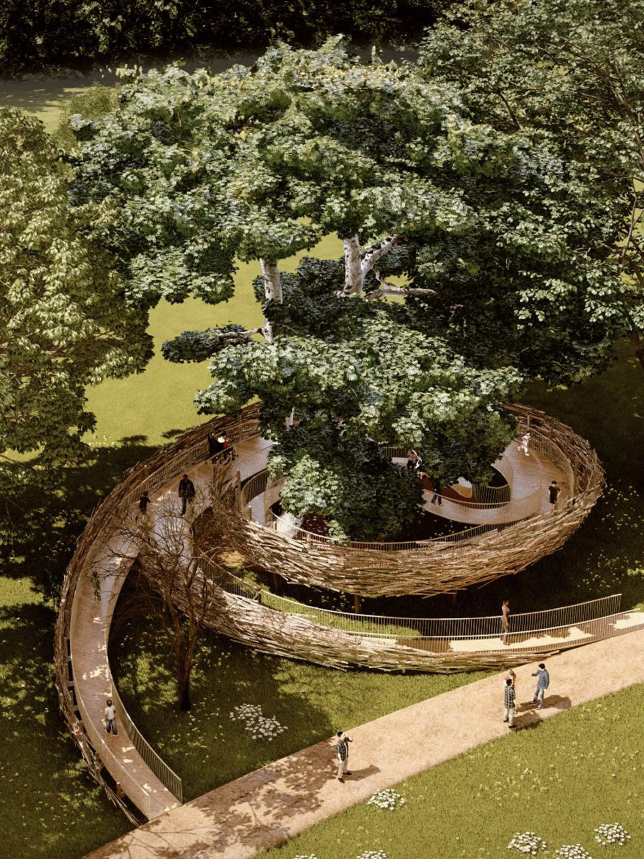 Nest-like walk wrapping around a tree.