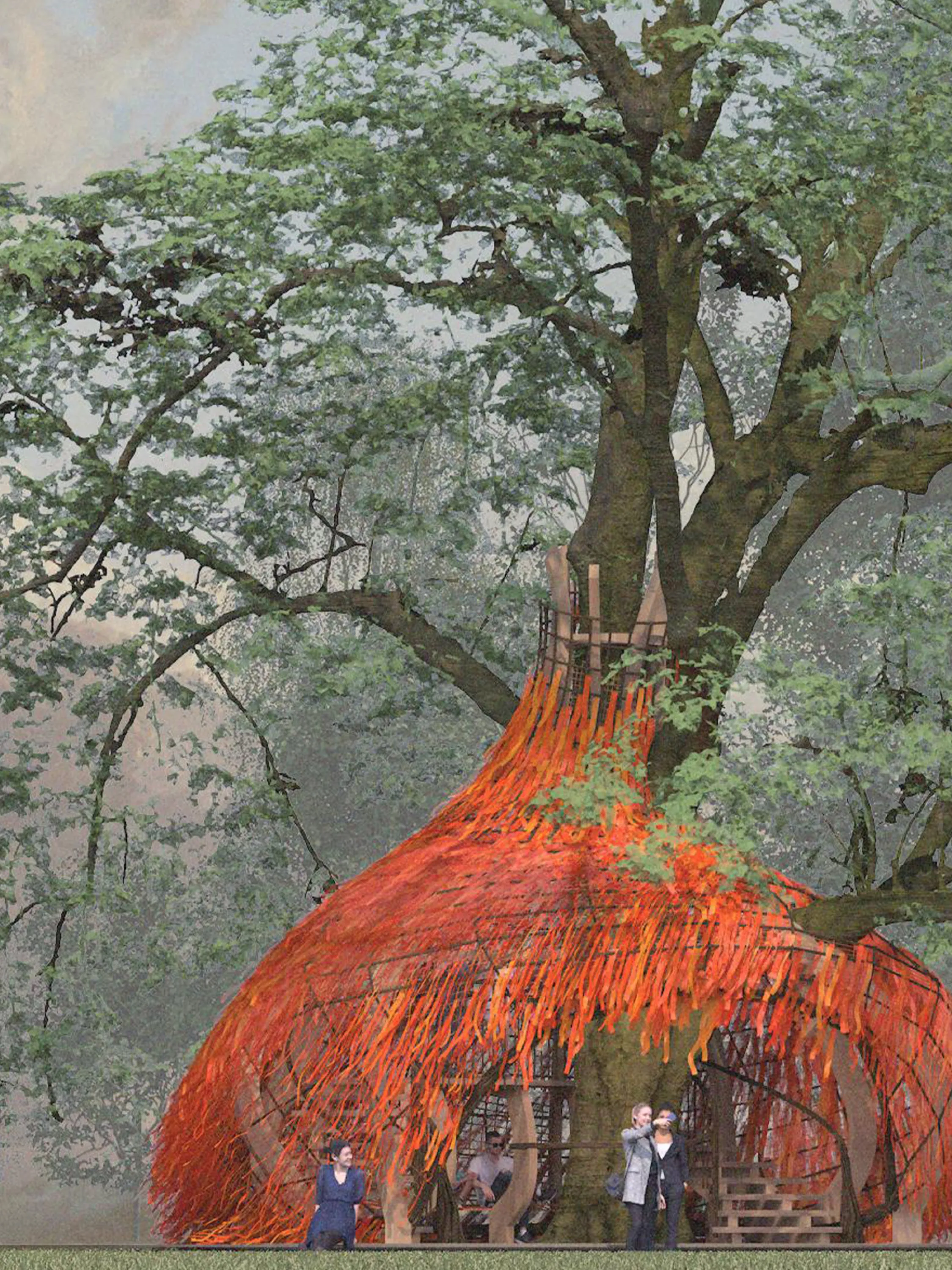 View of treehouse dens at a tree base.