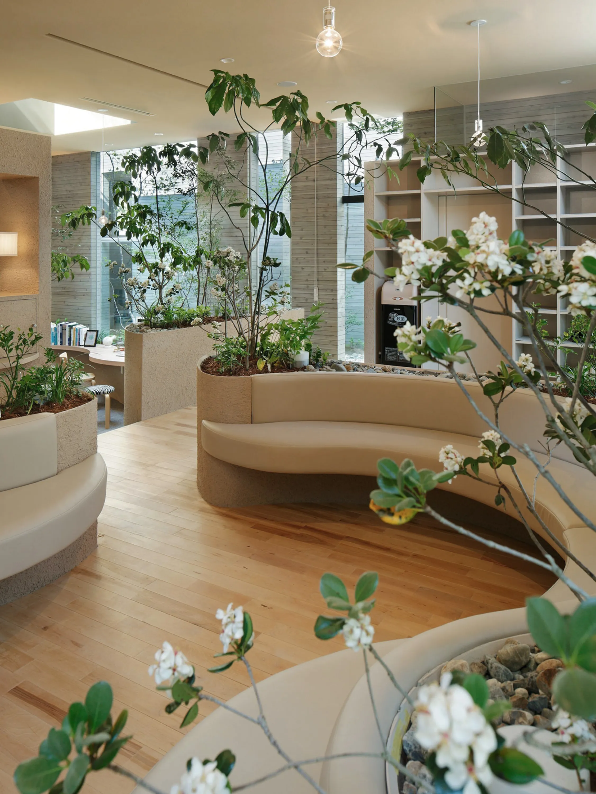 Hospital seating area with curved shapes and plants.