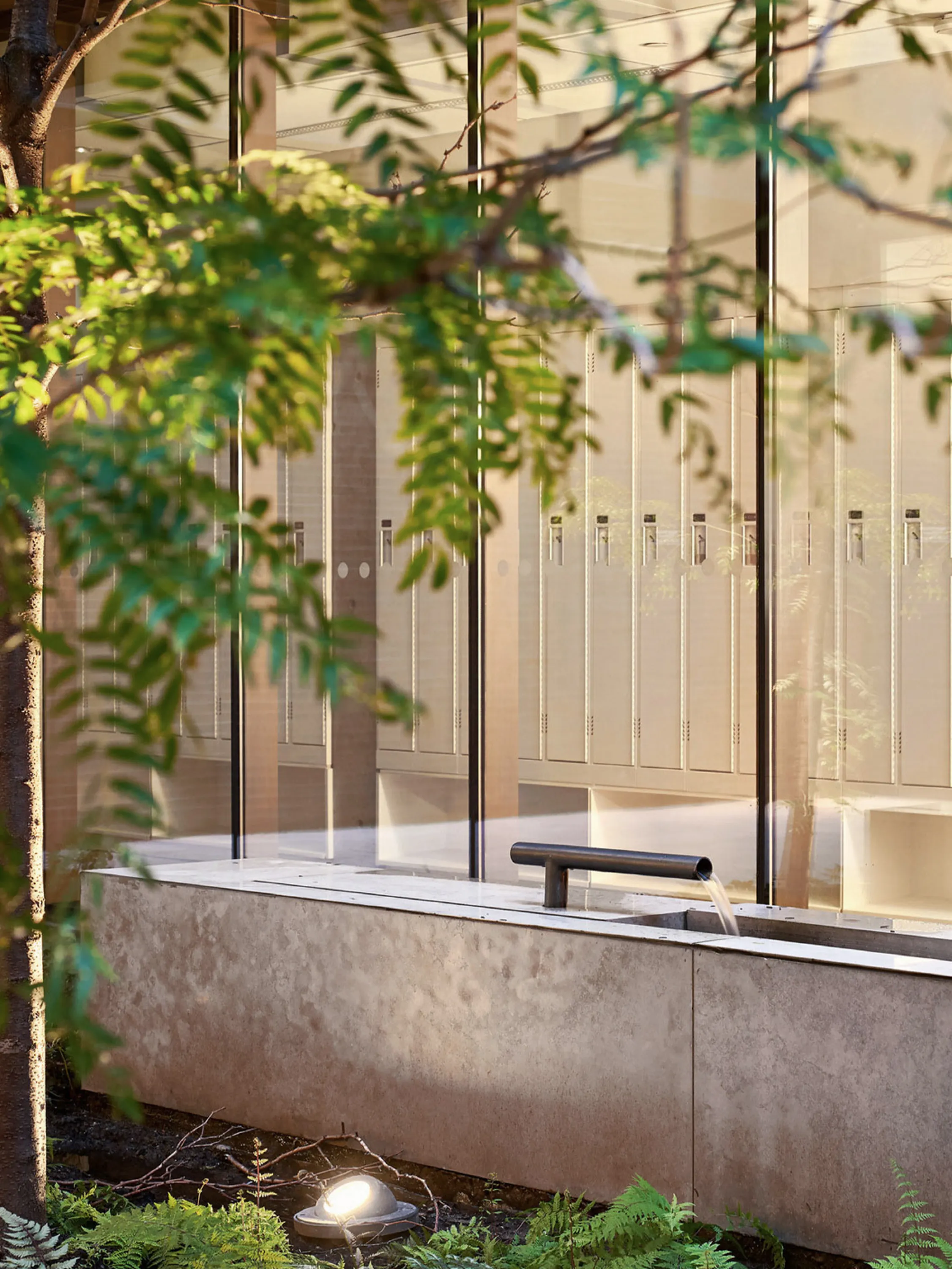 Water feature in a hospital garden.