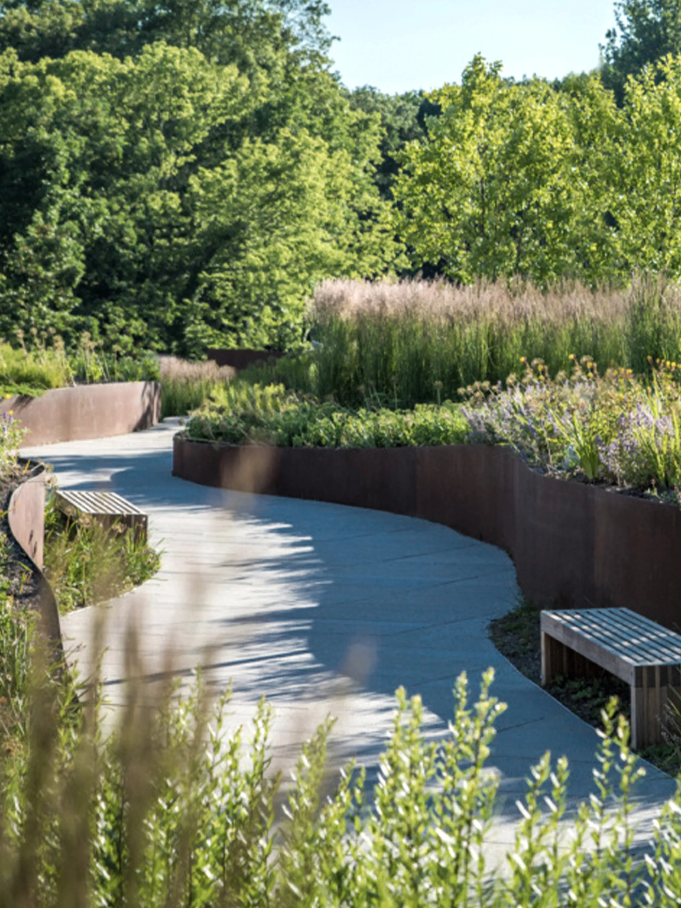 Hospital garden with pathways and seating space.