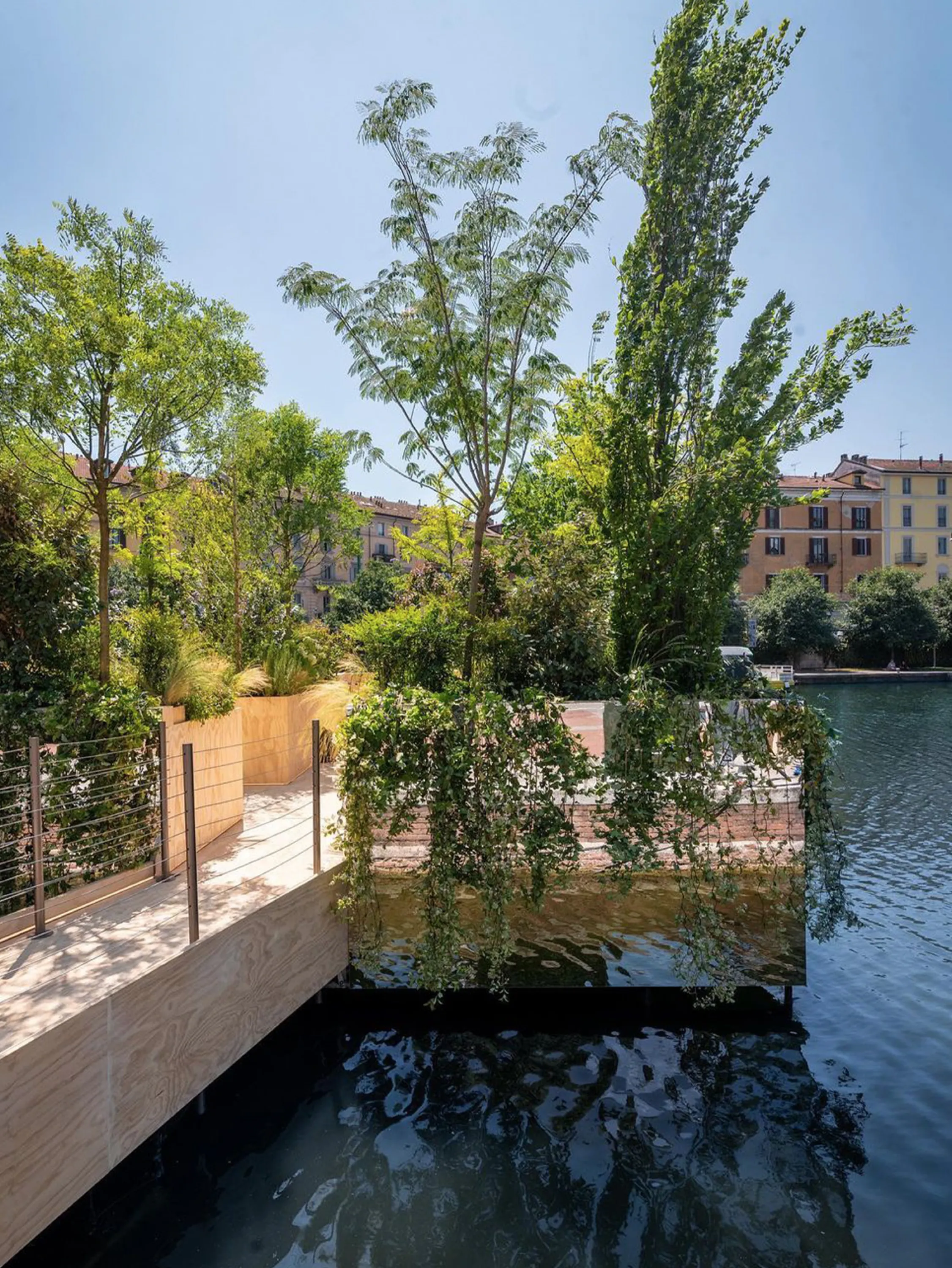 Lush planted pathway into the floating forest and water reflection.