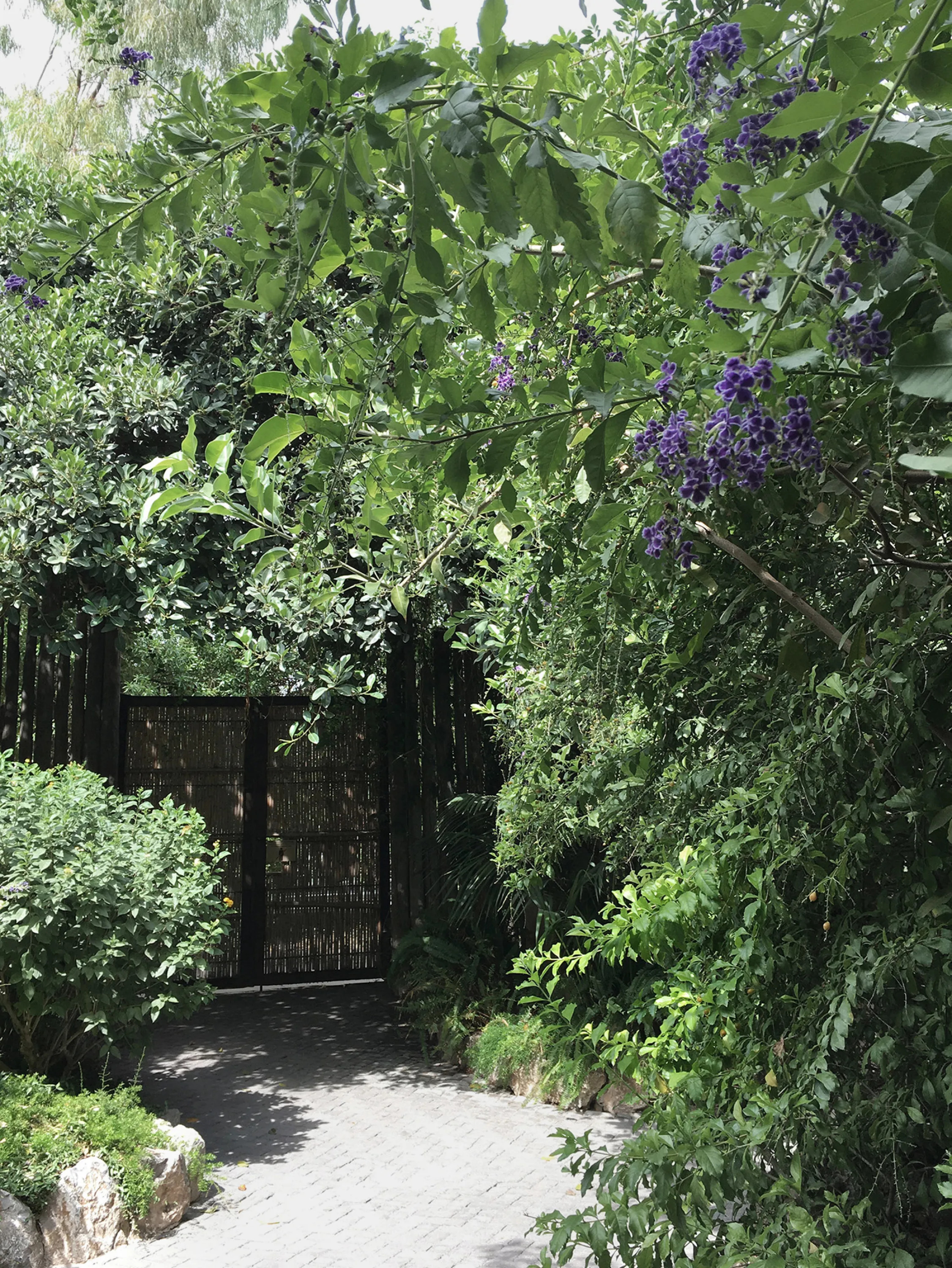 A door made of bamboo strands hidden among greenery.