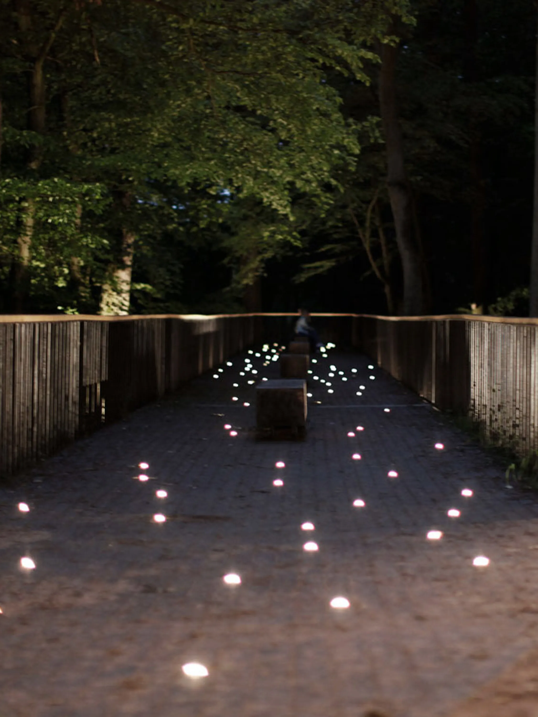 Walking trail immersed in nature lit by floor level lights at night.