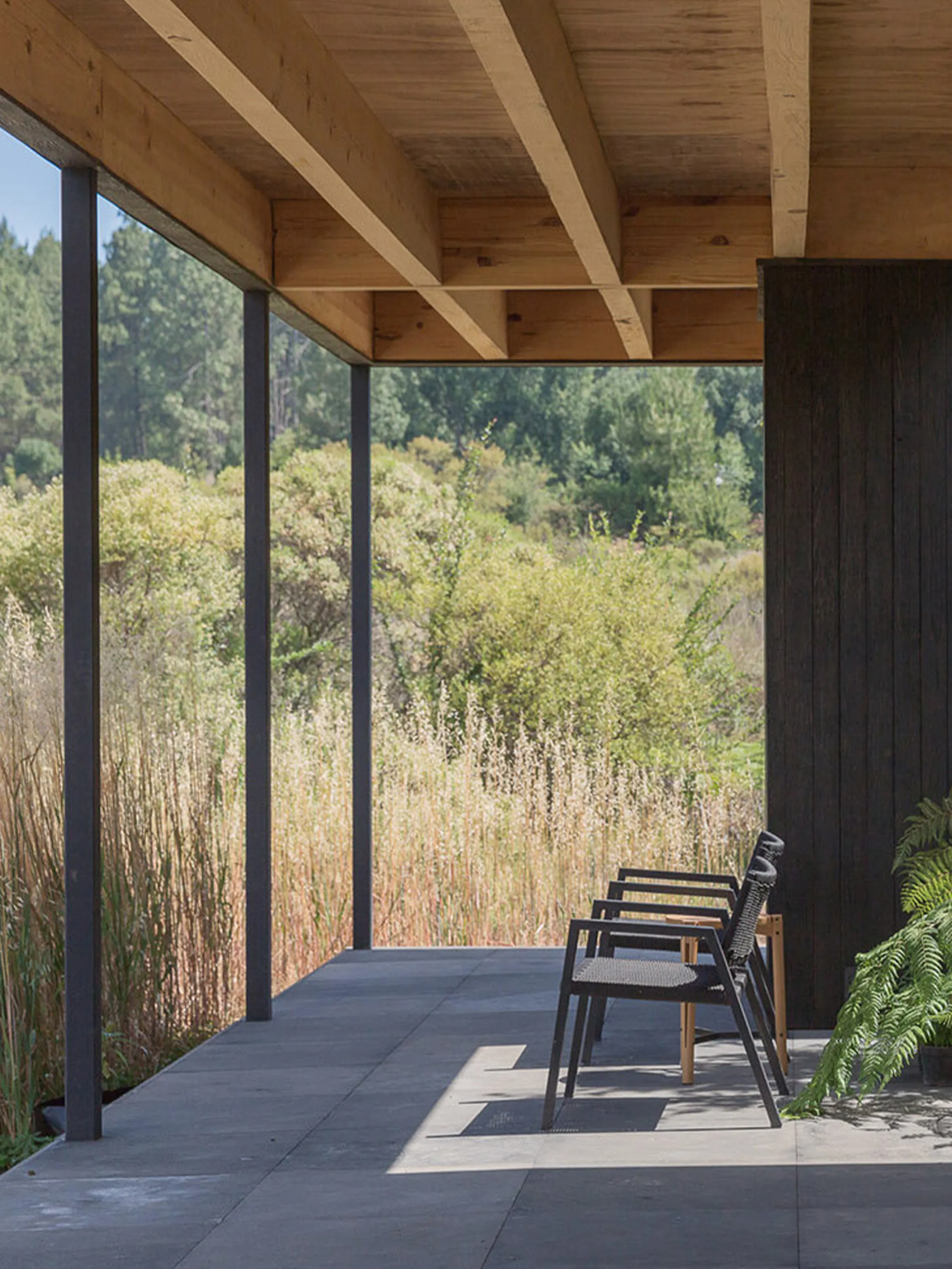 The outdoor patio.