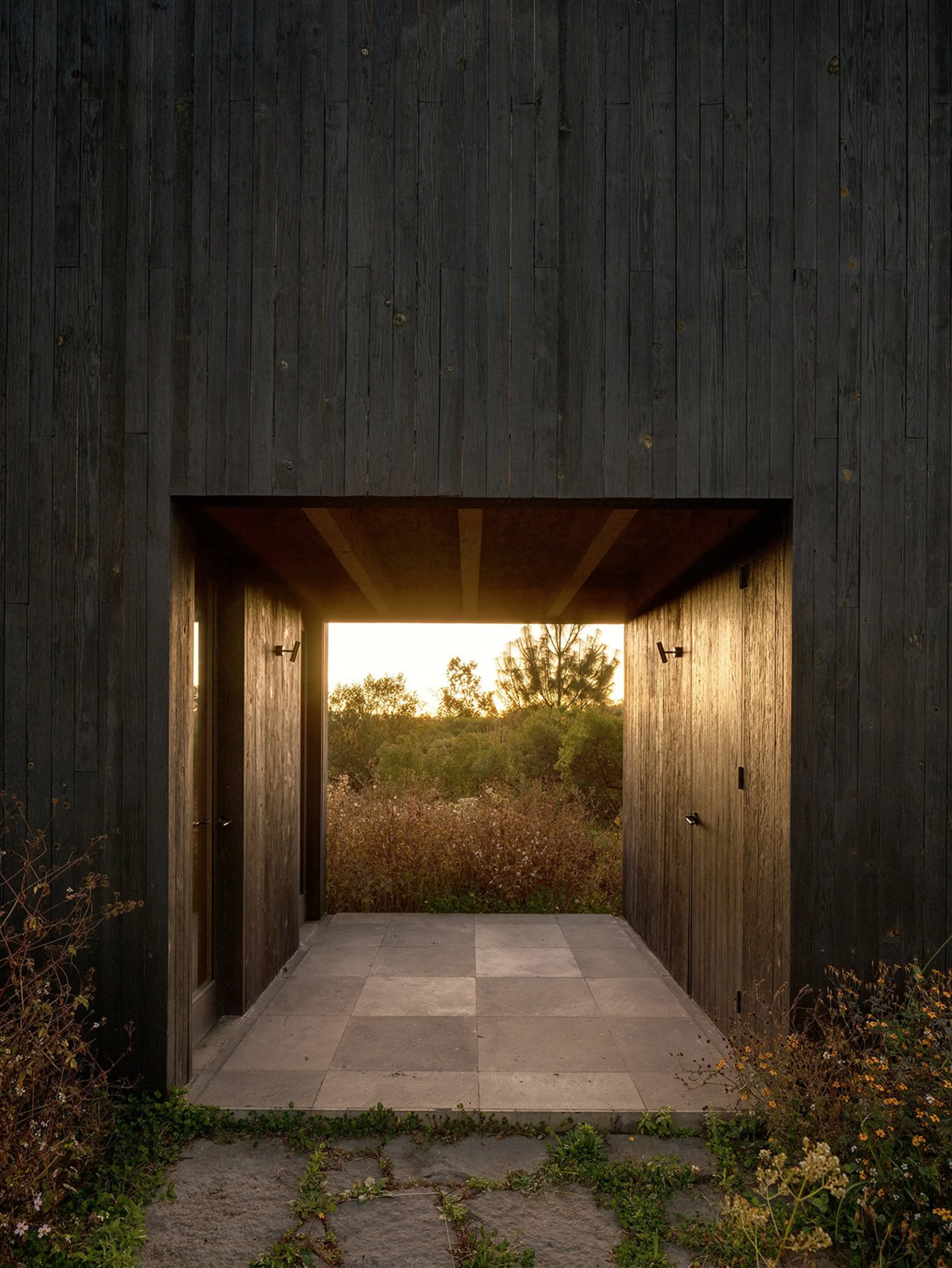 Outdoor view of the house.