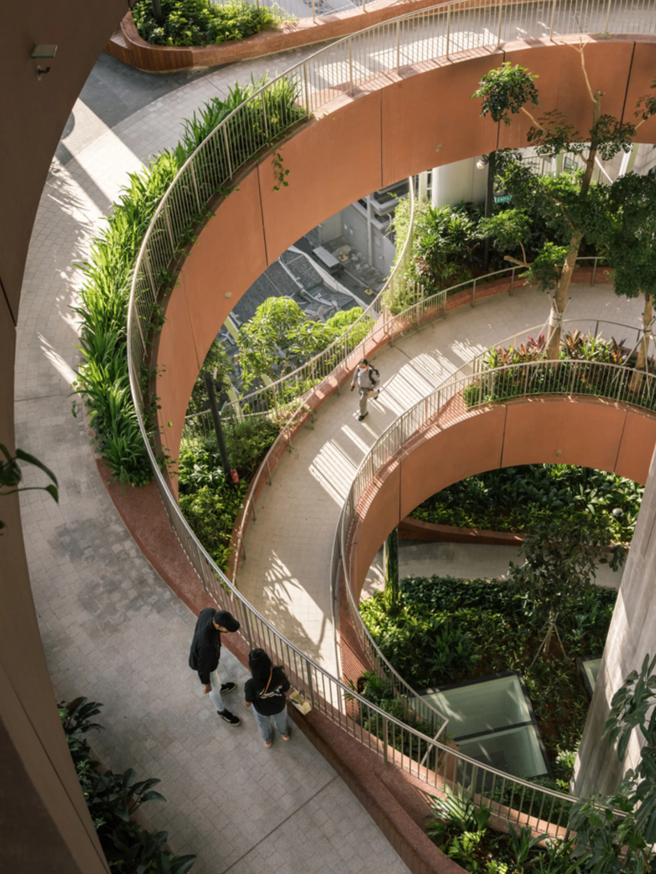 Indoor garden in a workplace environment.