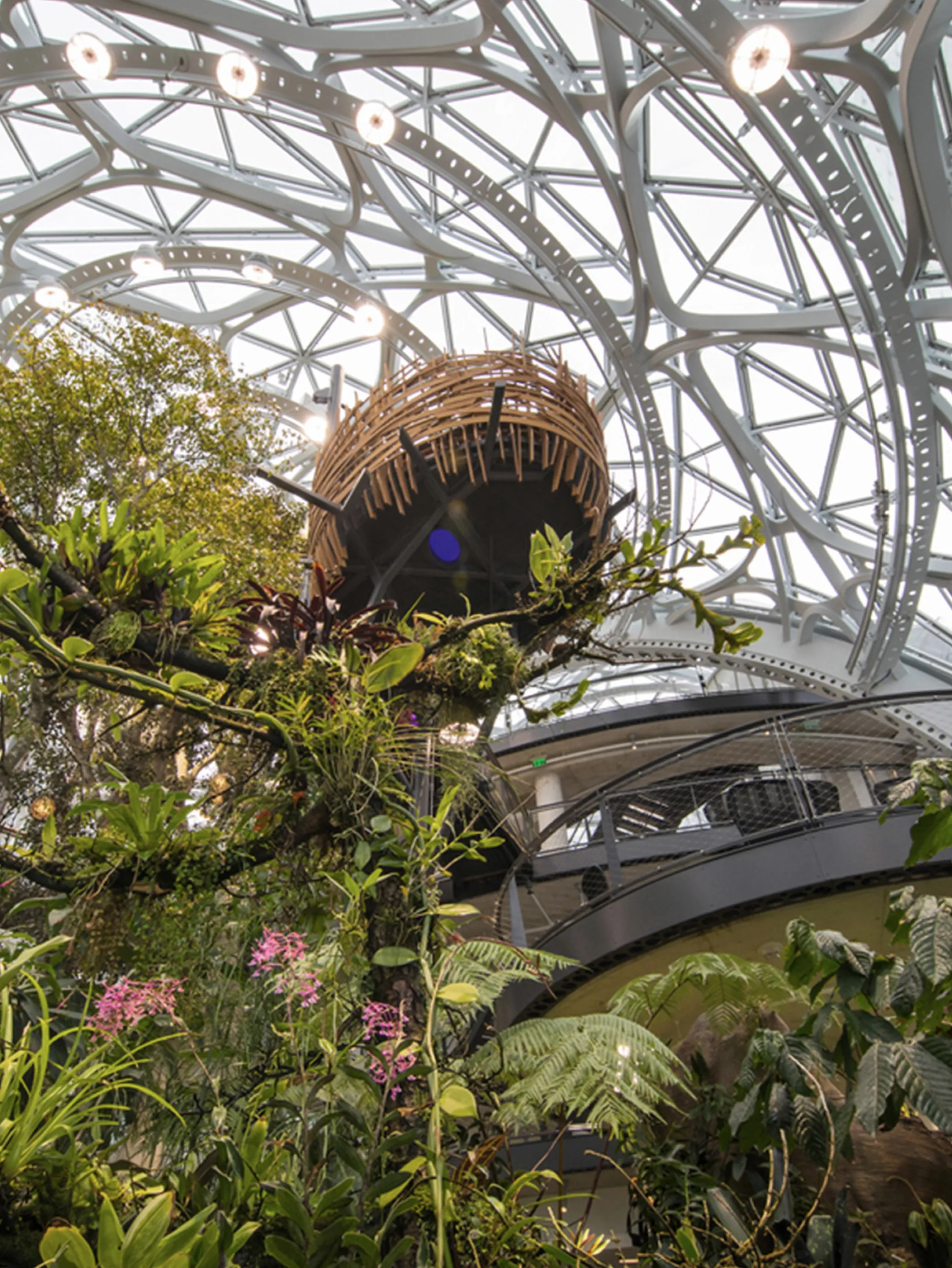 Suspended bird nest seating area.