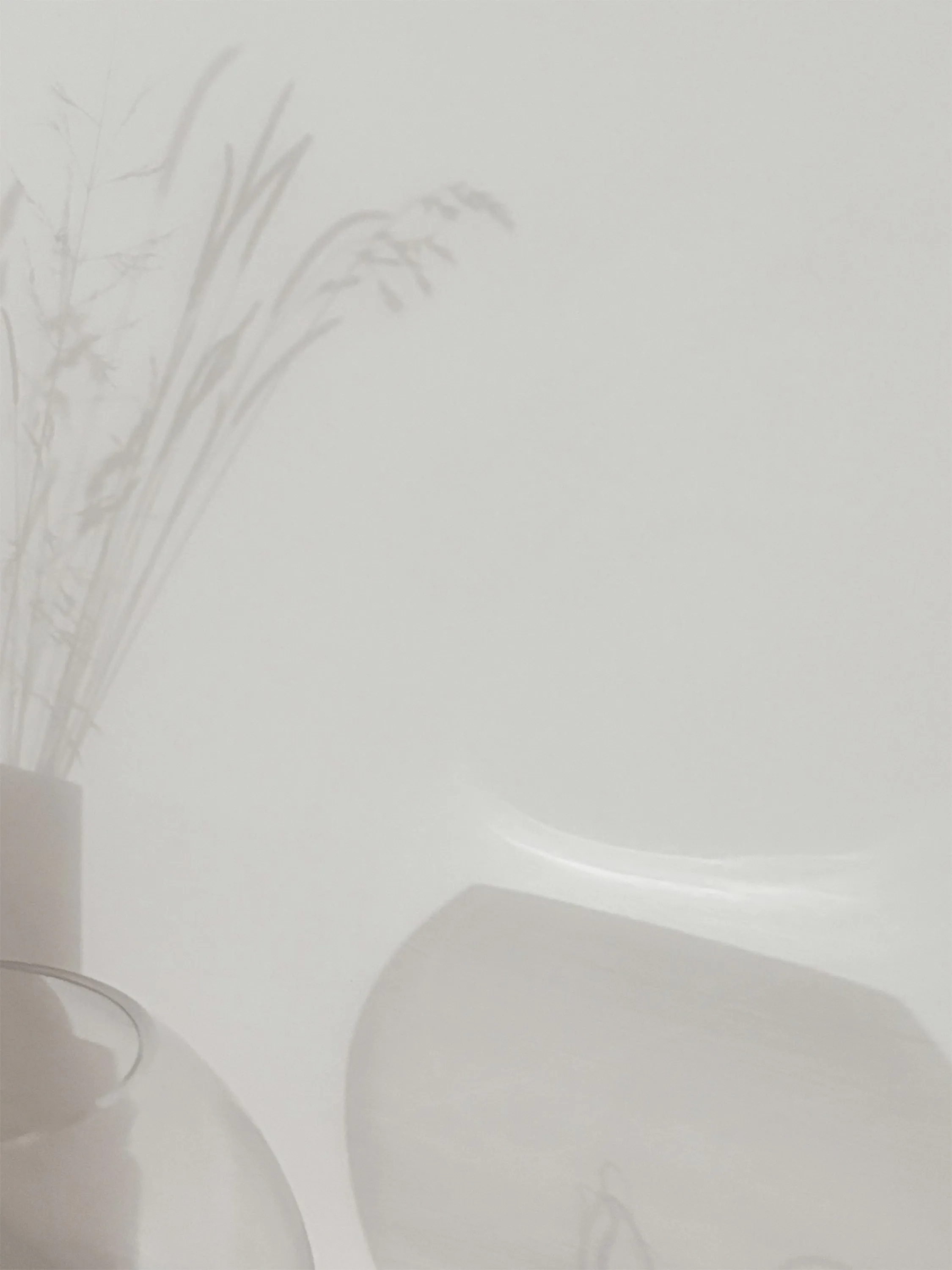 Round vase and greenery casting shadows on a white wall.