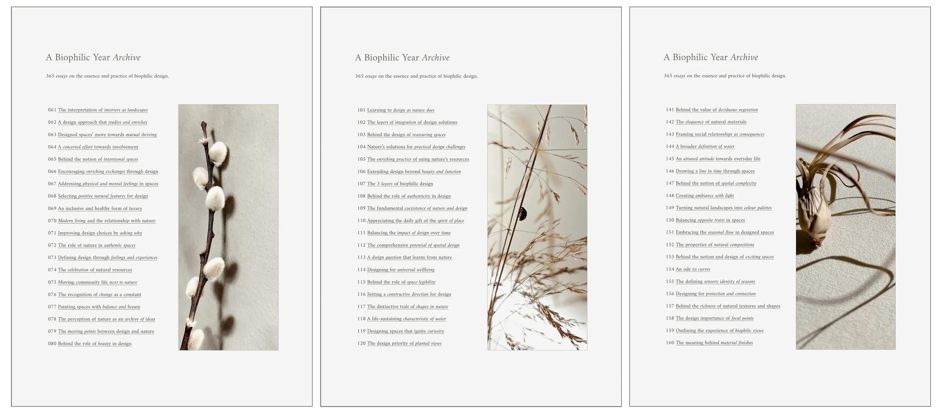 Preview of A Biophilic Year Archive pages
