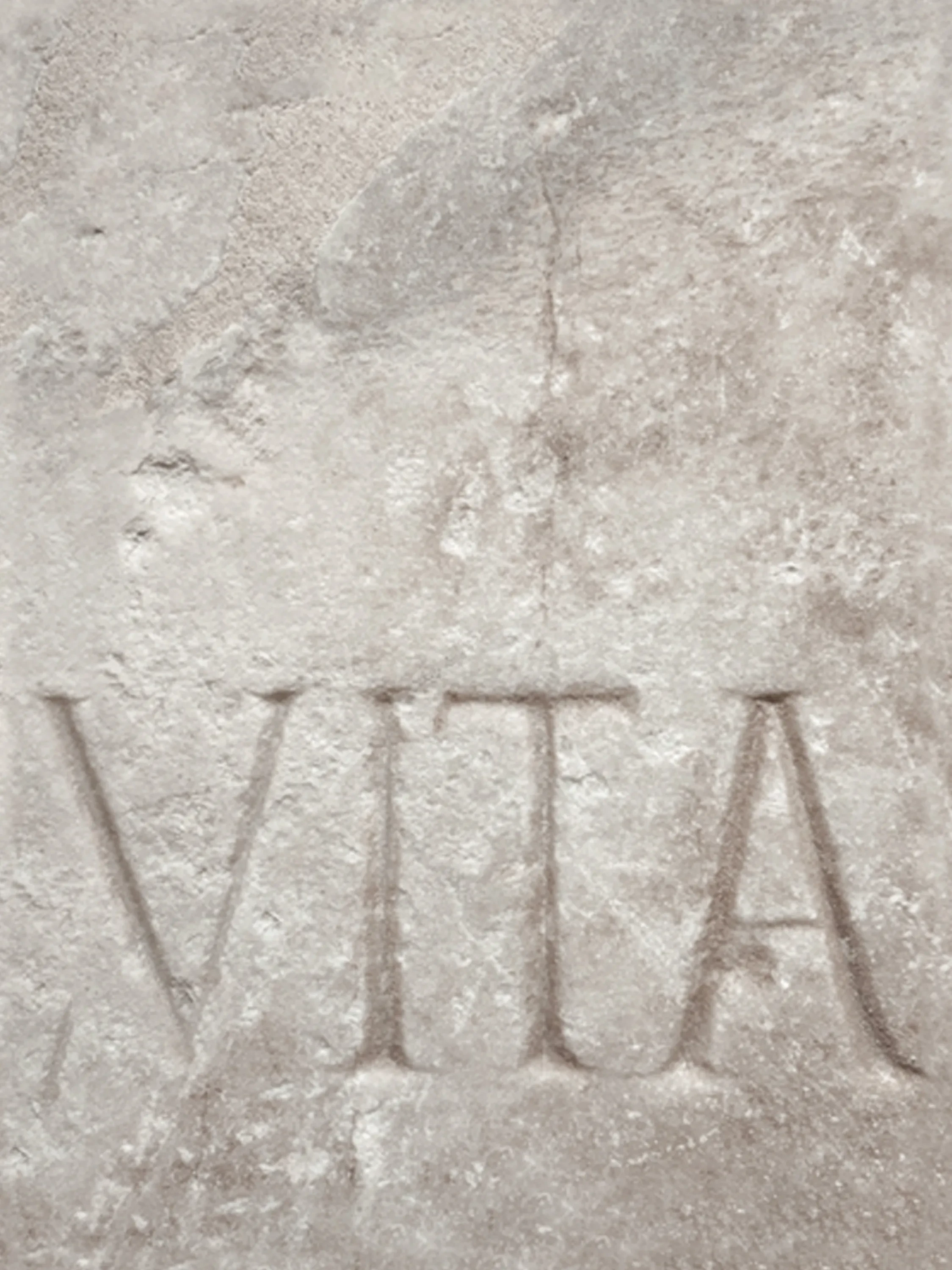 Word vita (life) engraved on marble.