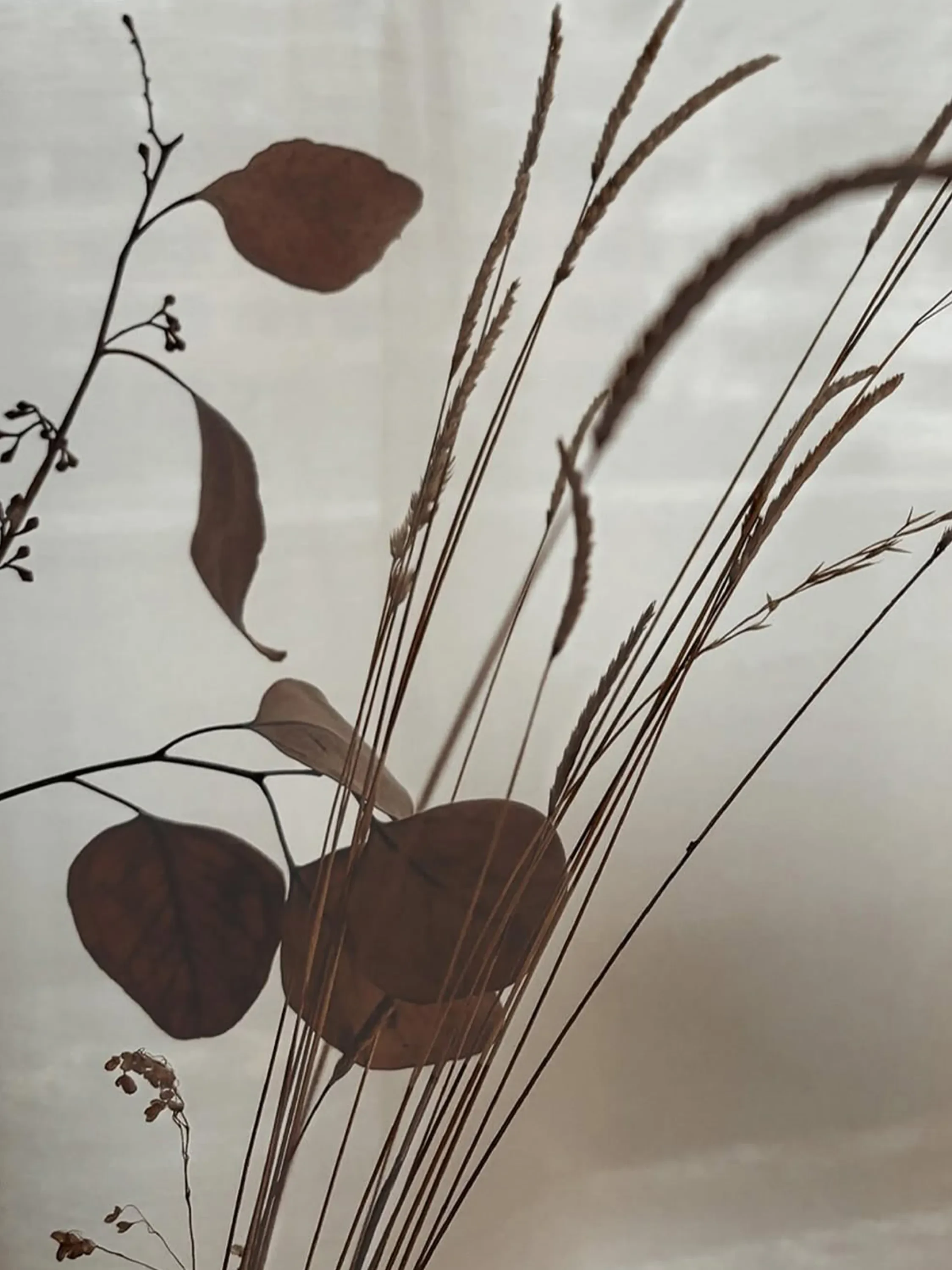 Twigs.