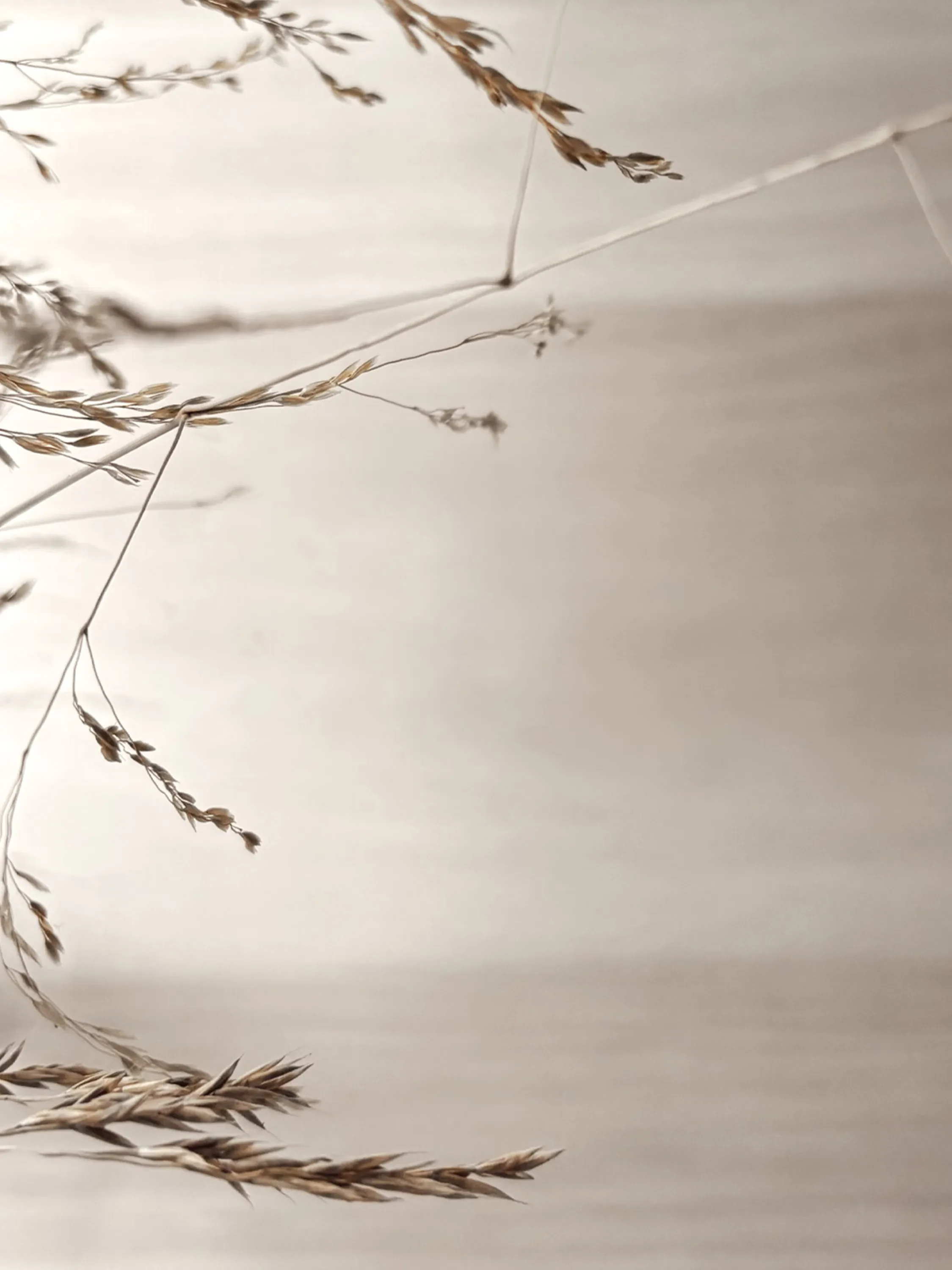 Grass twigs on a wood surface.