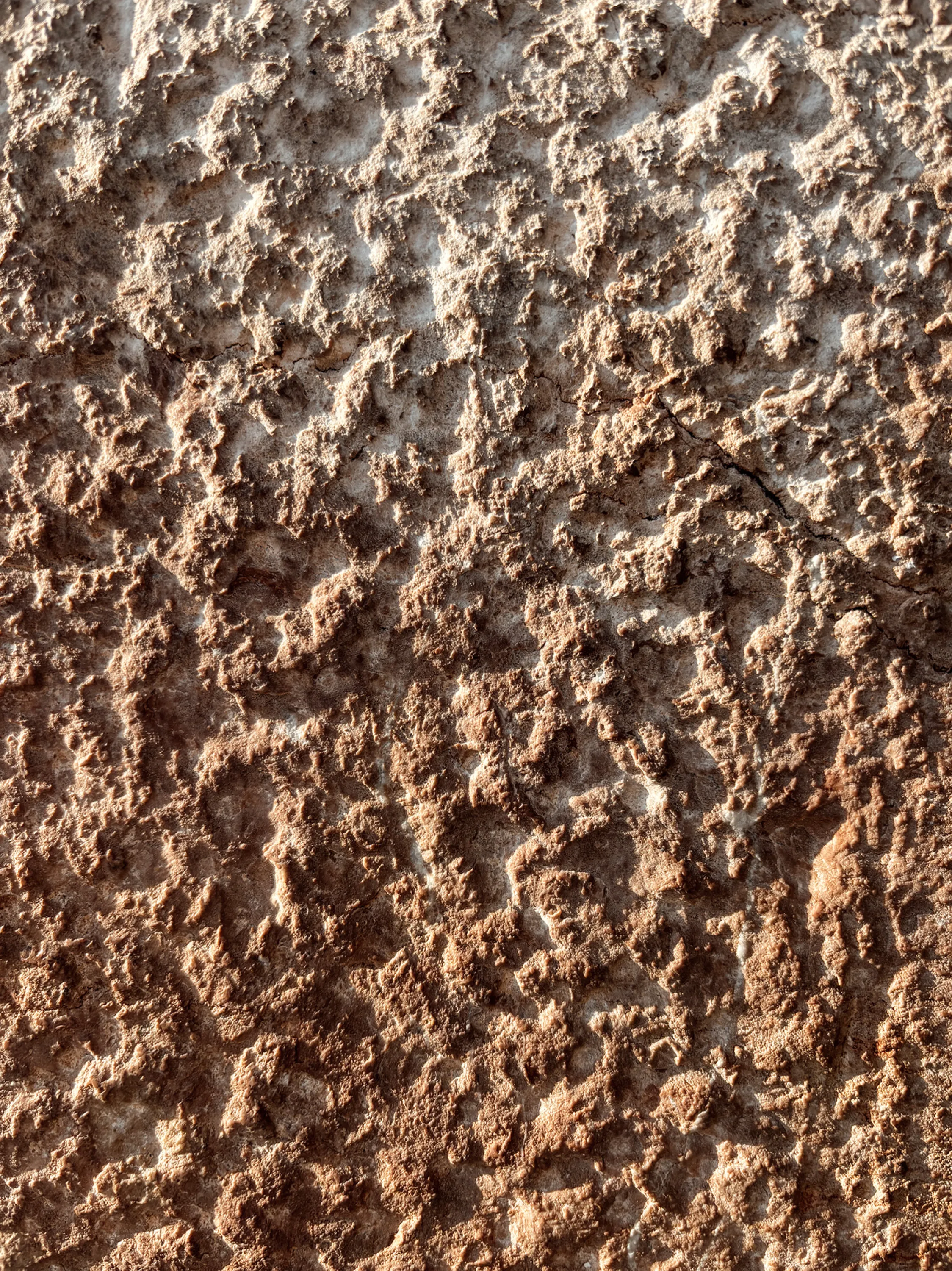 A natural stone wall brushed by sunlight.