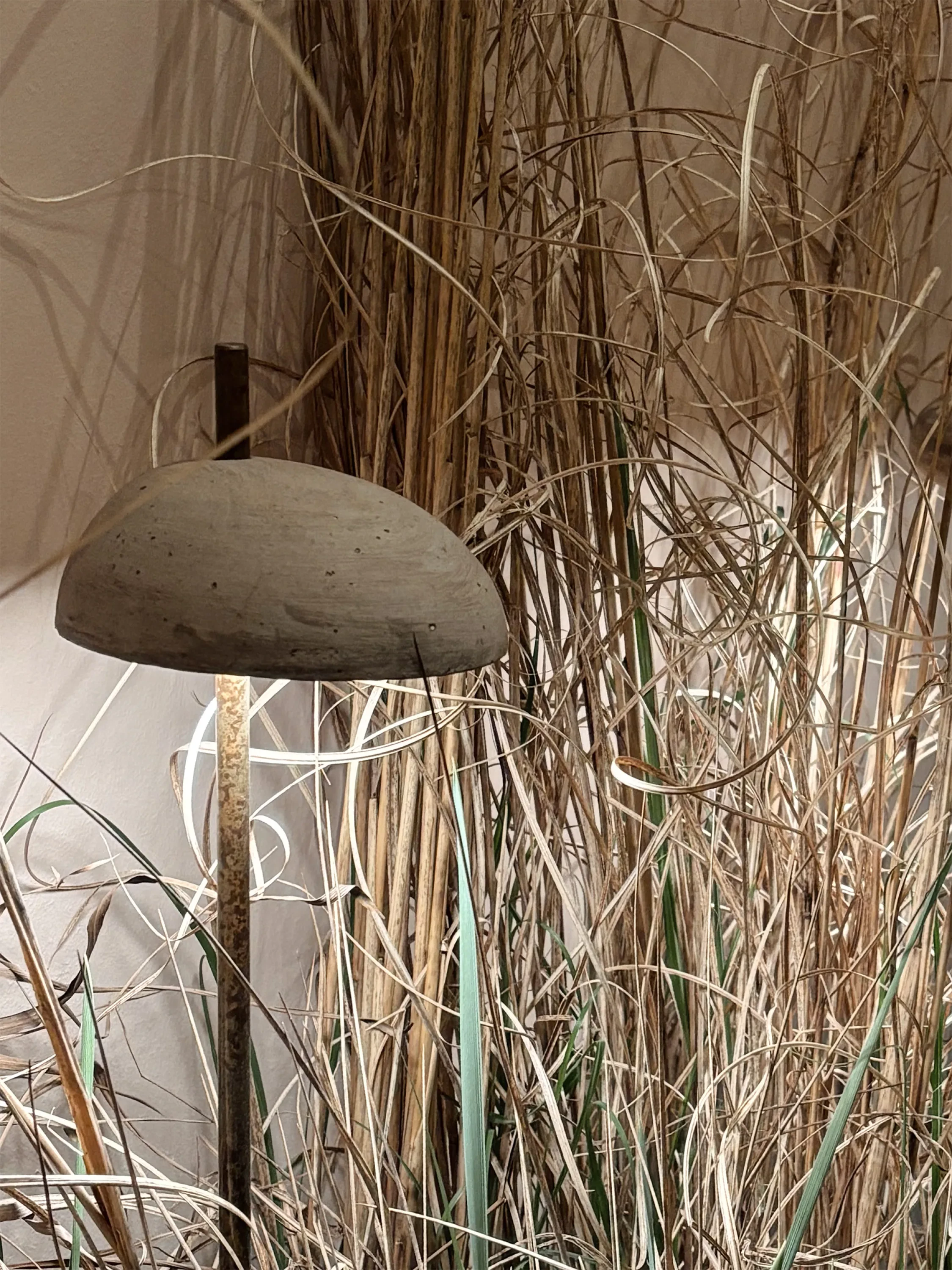 Outdoor lamp nestled in grass.