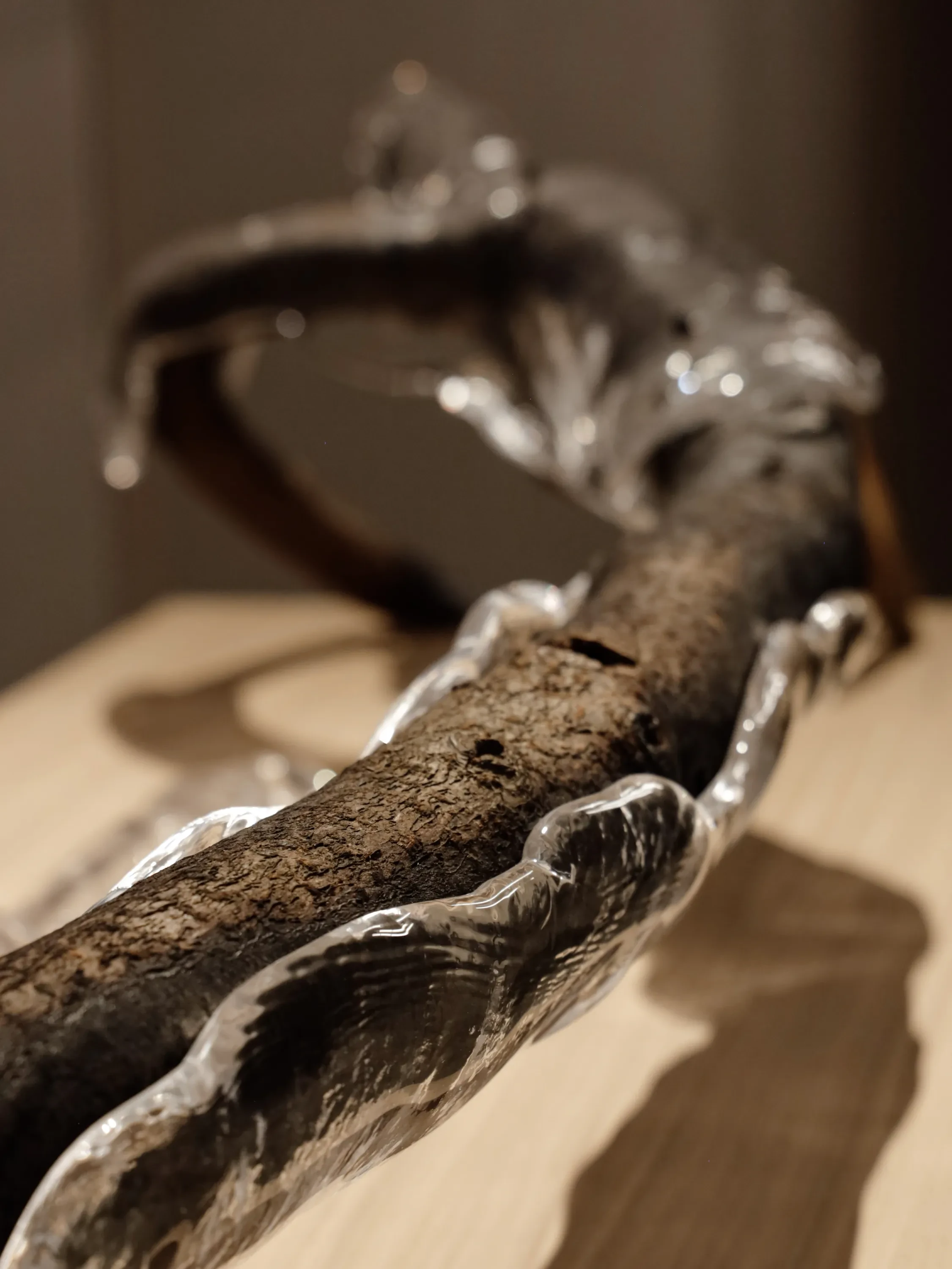 Glass moulded around a tree branch.