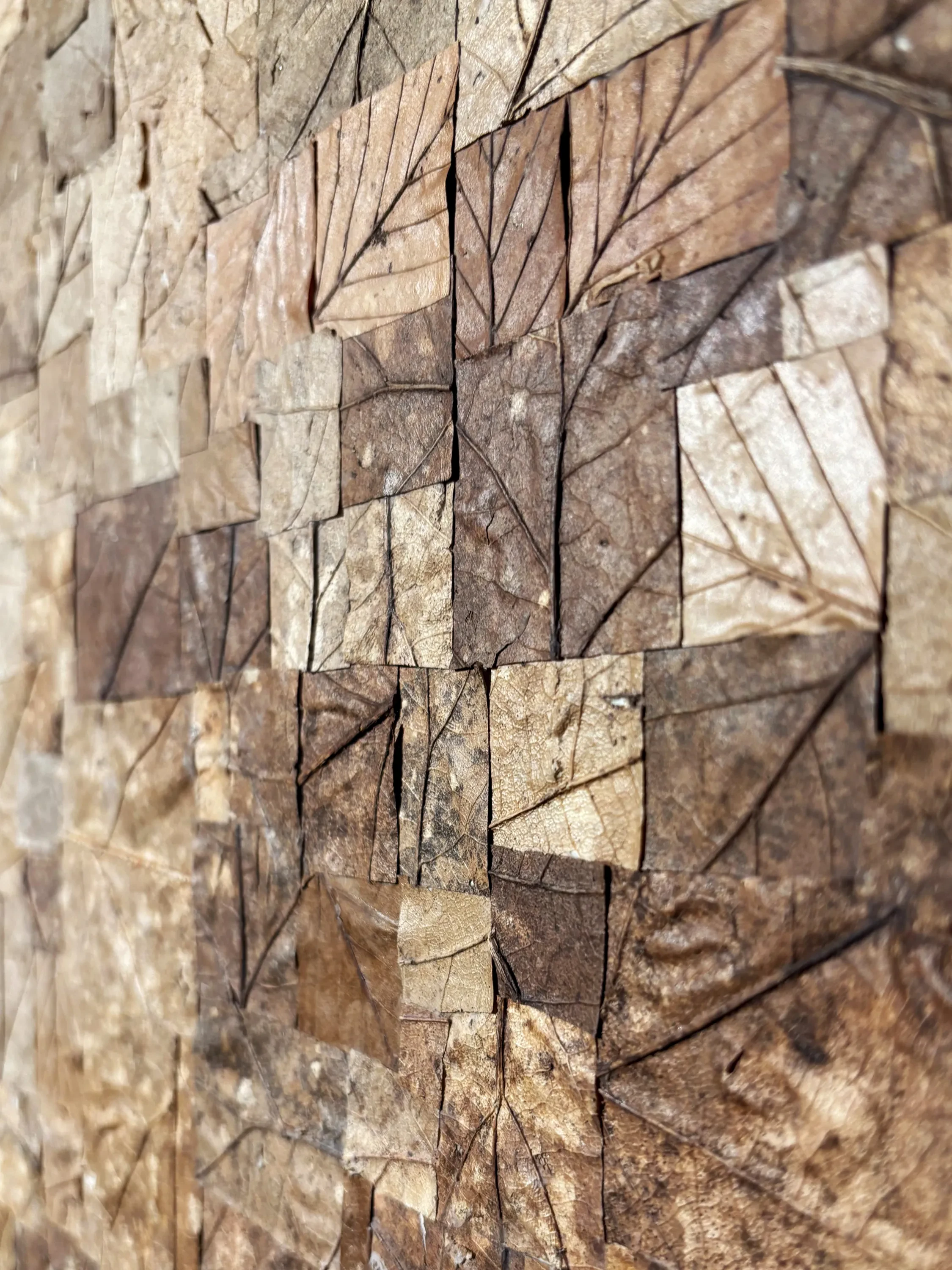 Artwork made with squares cut from dry leaves.