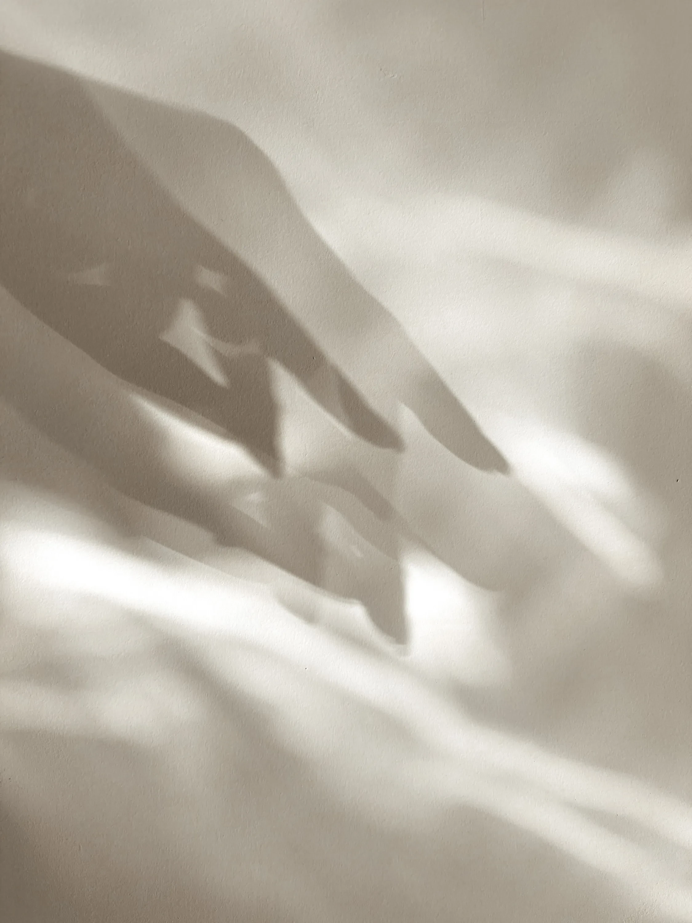 Shadow of a pointing finger.