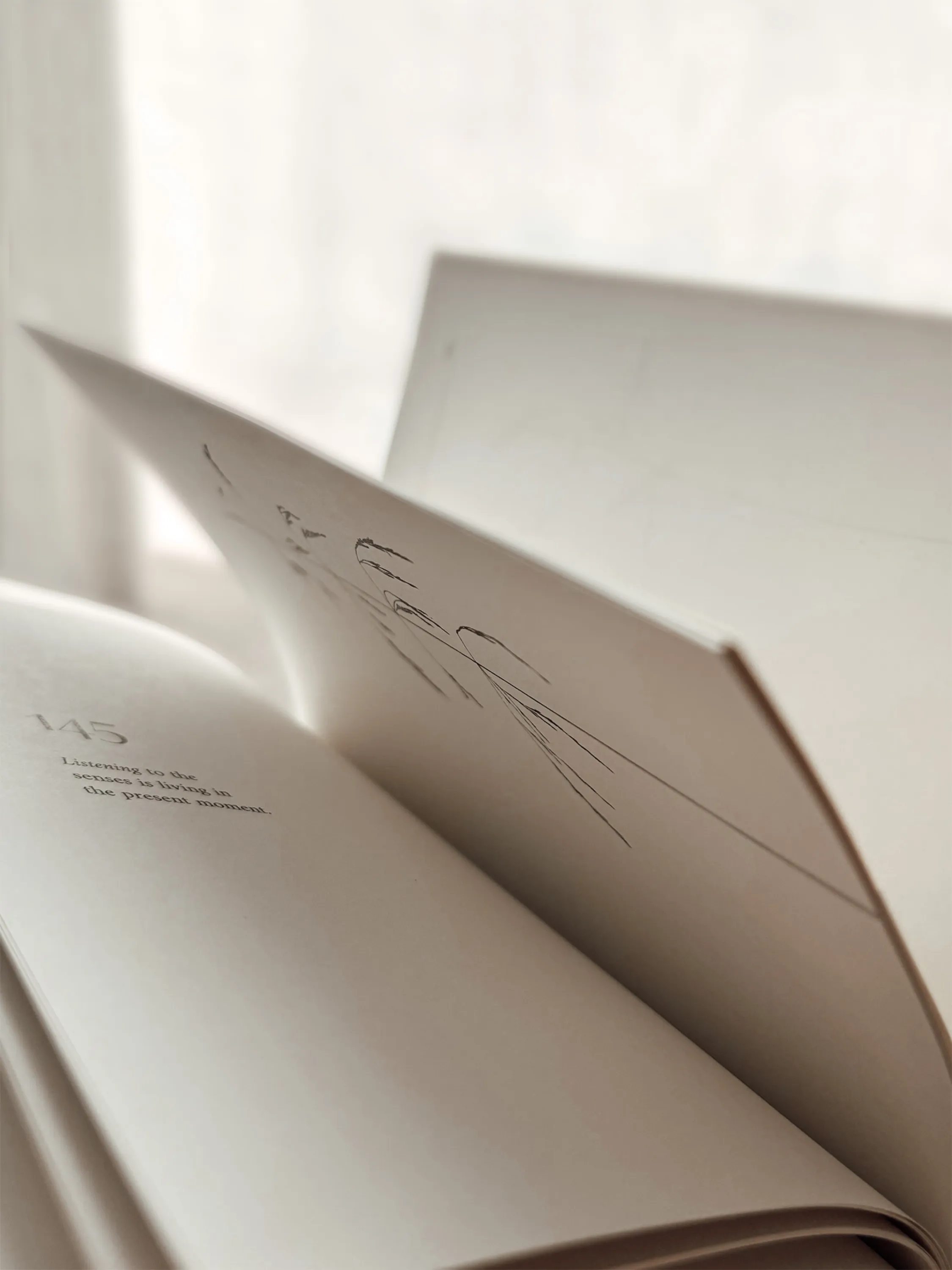 Open pages of A Biophilic Year: an aphorism and a botanical illustration.