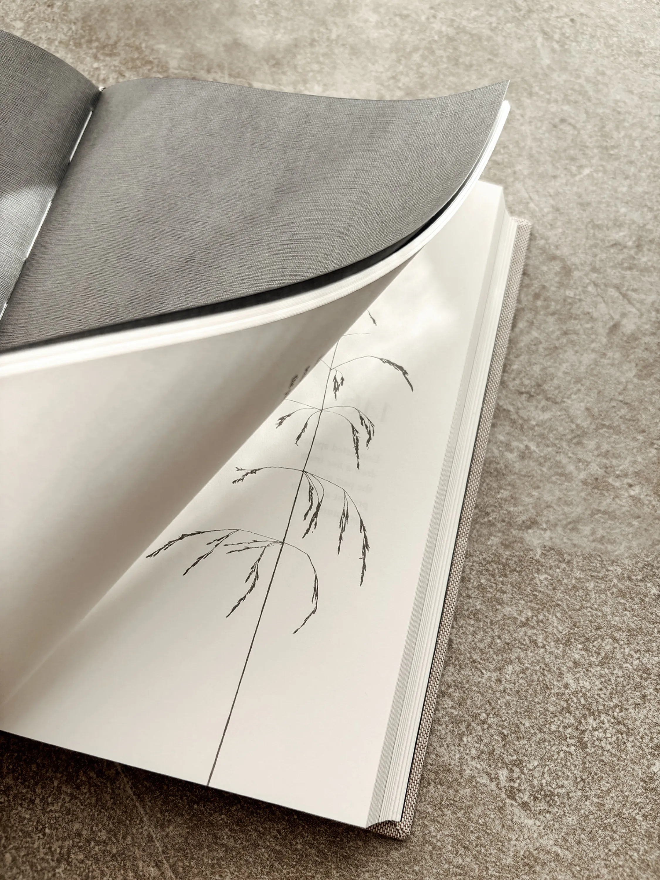 Alternation of textured, dusky spreads and smooth, light pages in the book A Biophilic Year.