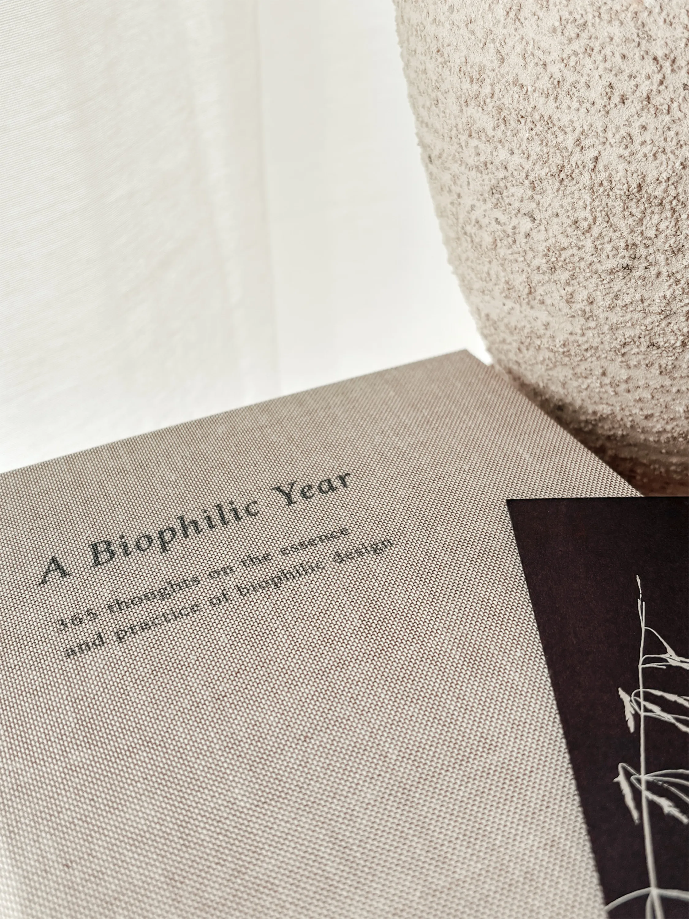 The book A Biophilic Year resting next to a textured stone lamp.