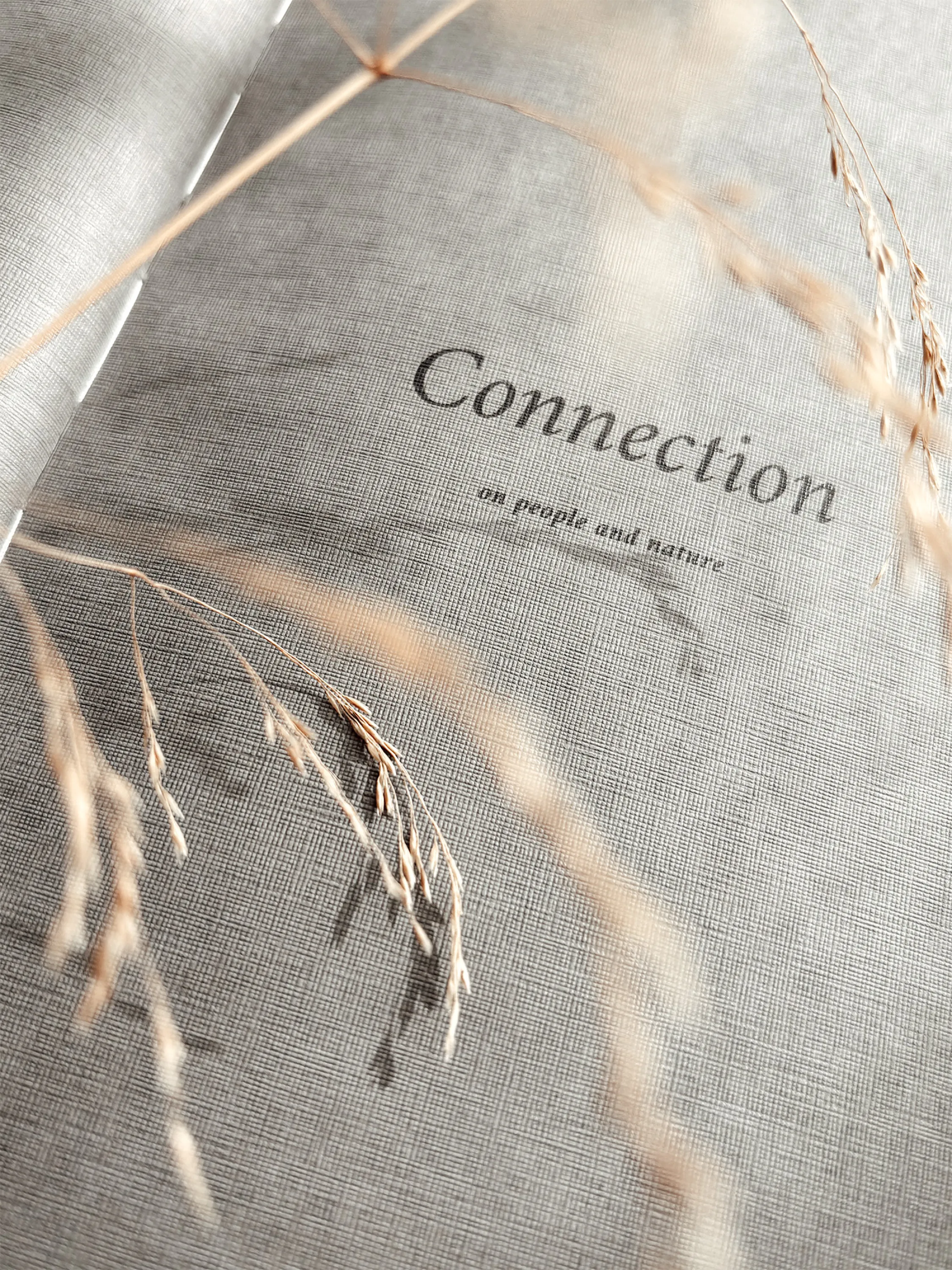 Opening page of A Biophilic Year's chapter 1: Connection.