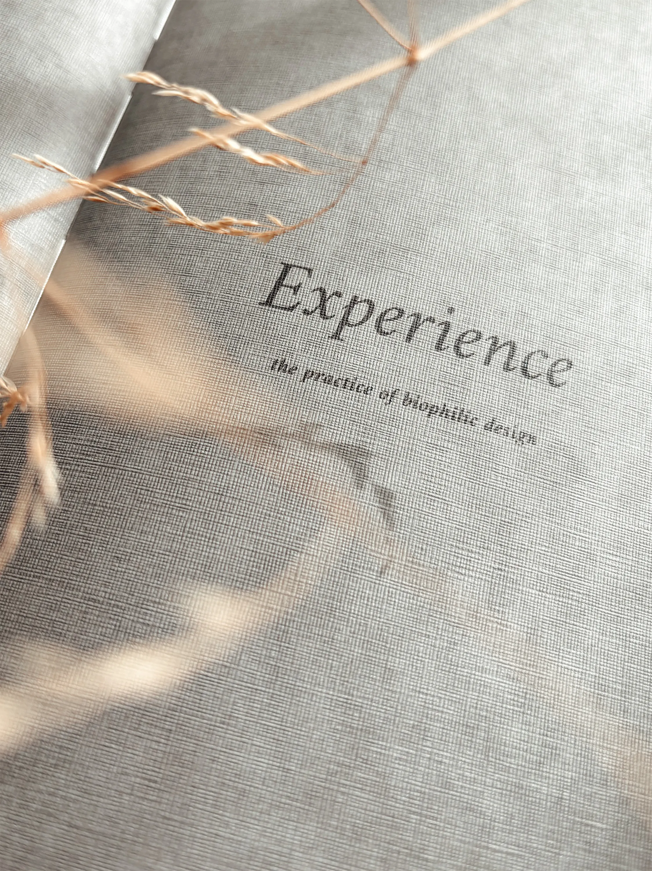 Opening page of A Biophilic Year's chapter 3: Experience.