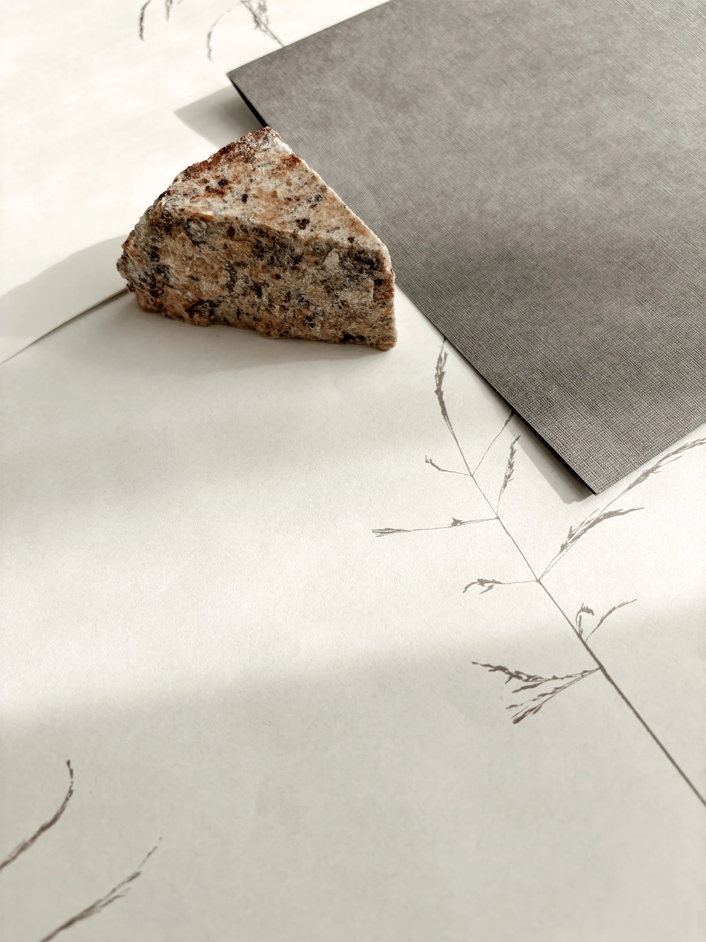 Smooth paper, textured paper, a stone, and botanical illustrations.